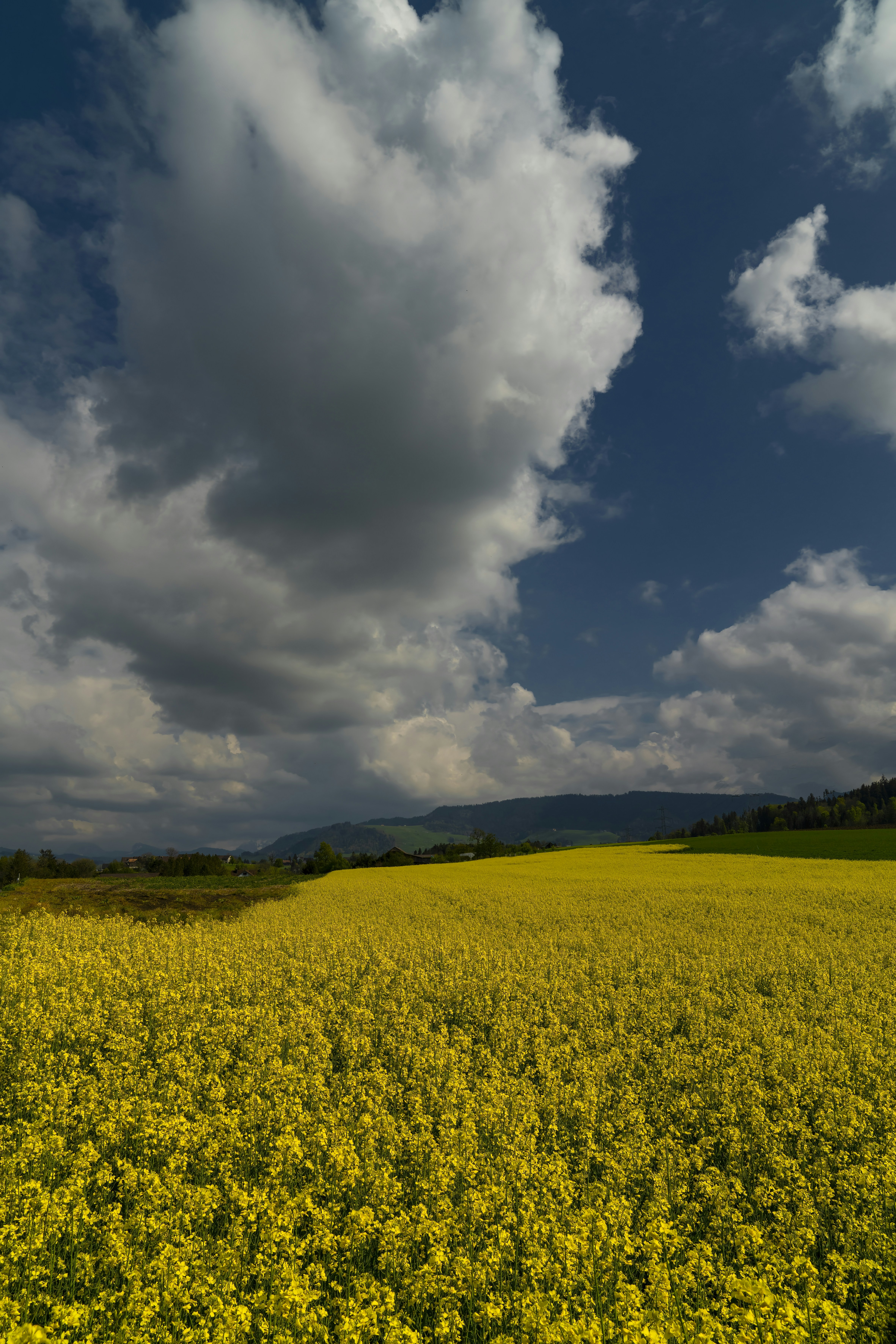 Photo by rgaleriacom