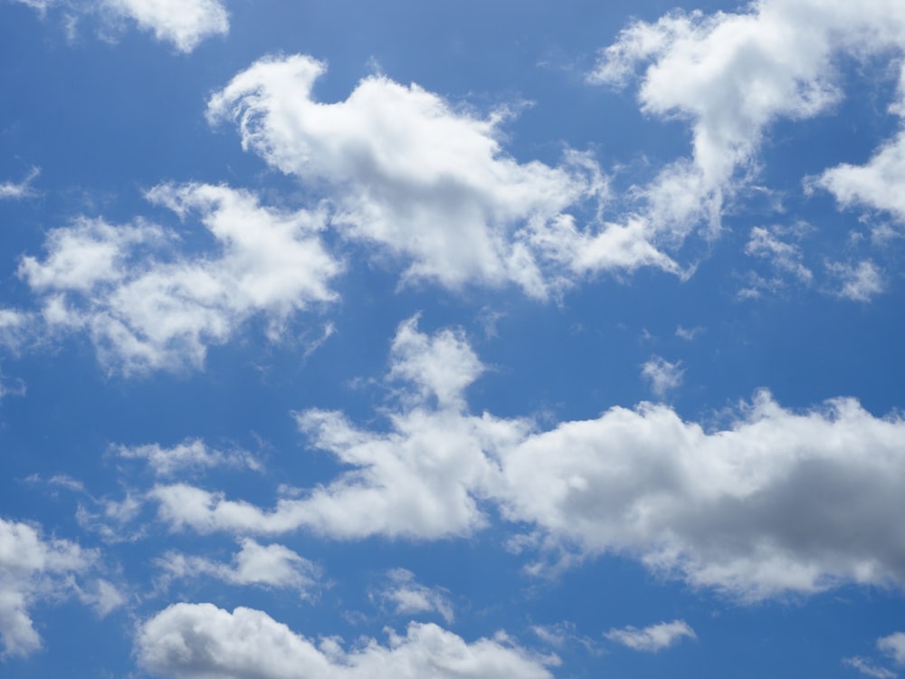 blue sky with white clouds