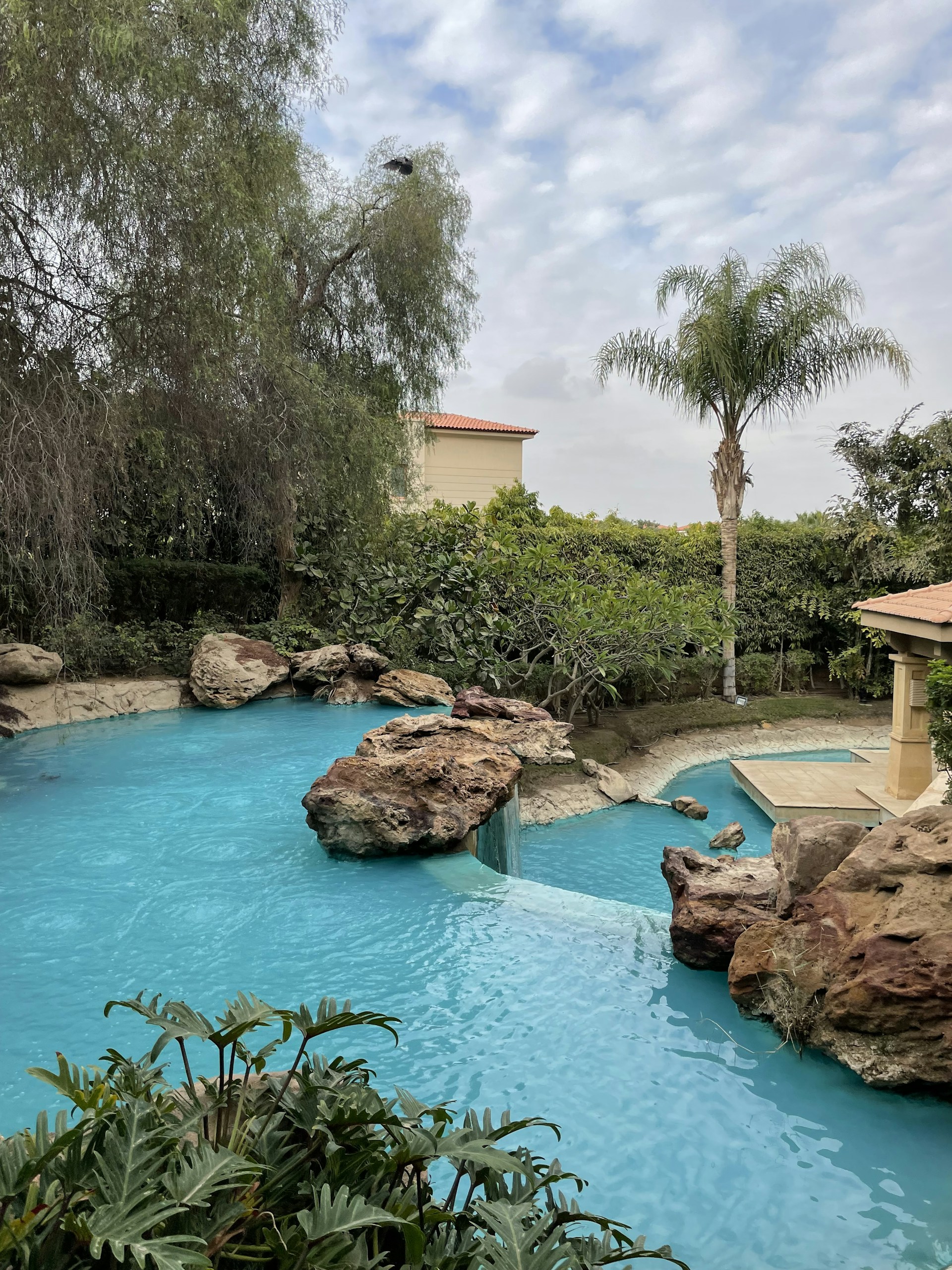 woman wearing yellow long-sleeved dress under white clouds and blue sky during daytime