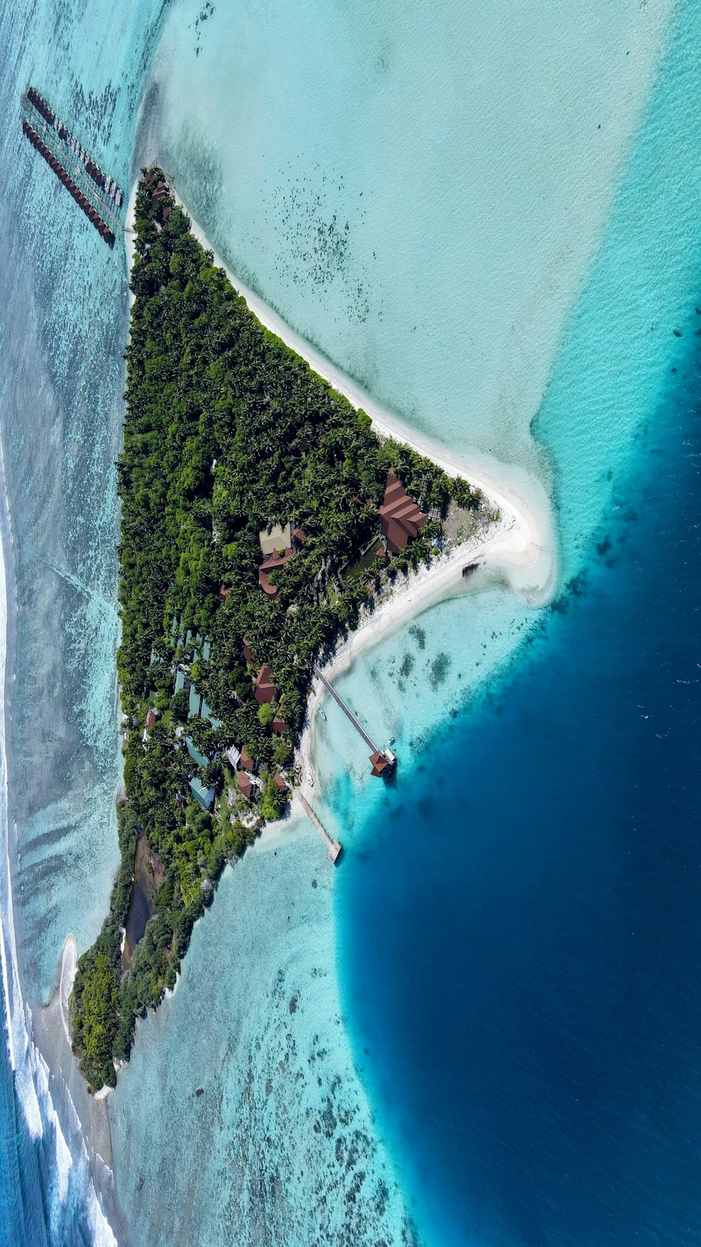 a beach with trees and houses