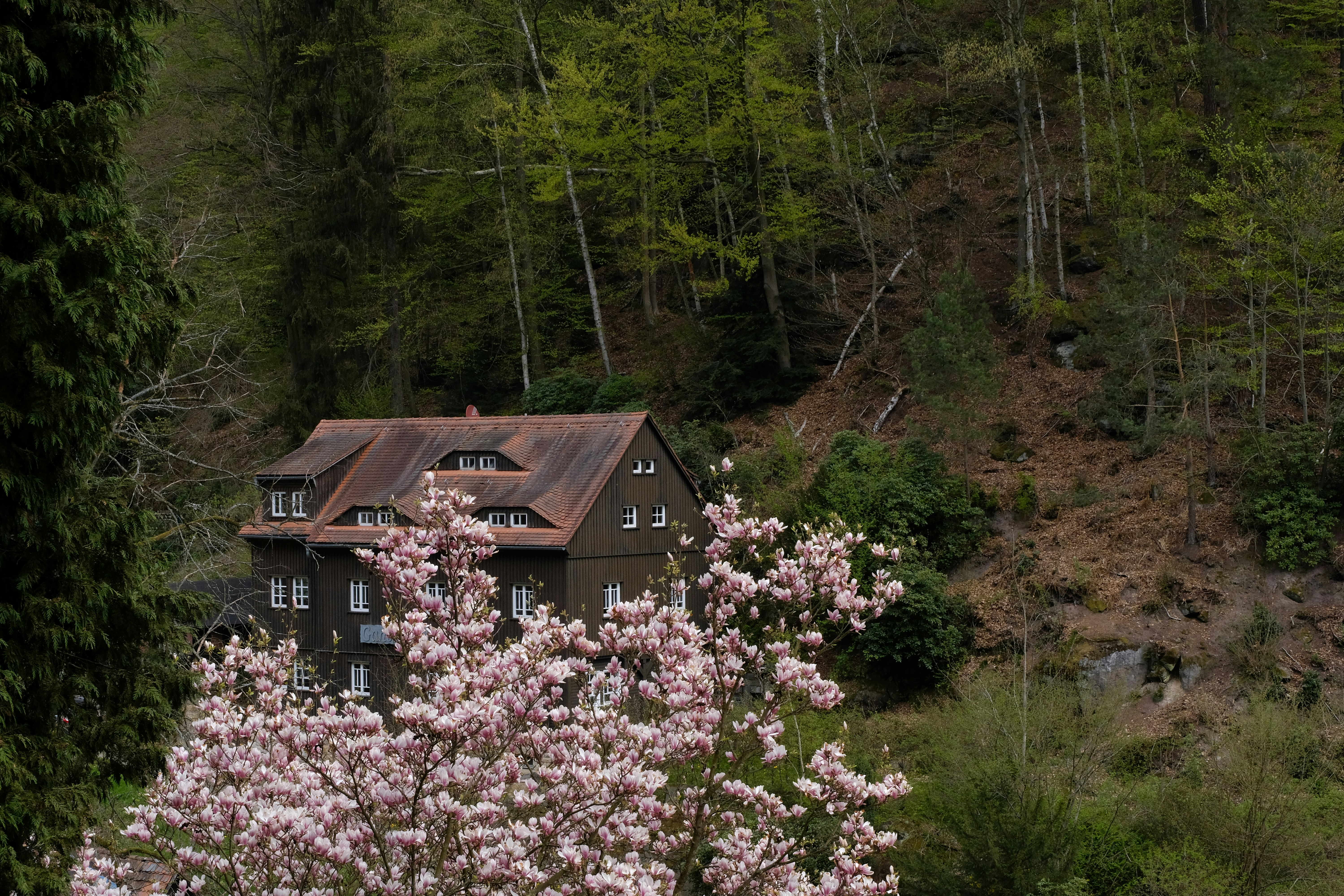 Photo by prostotakphoto