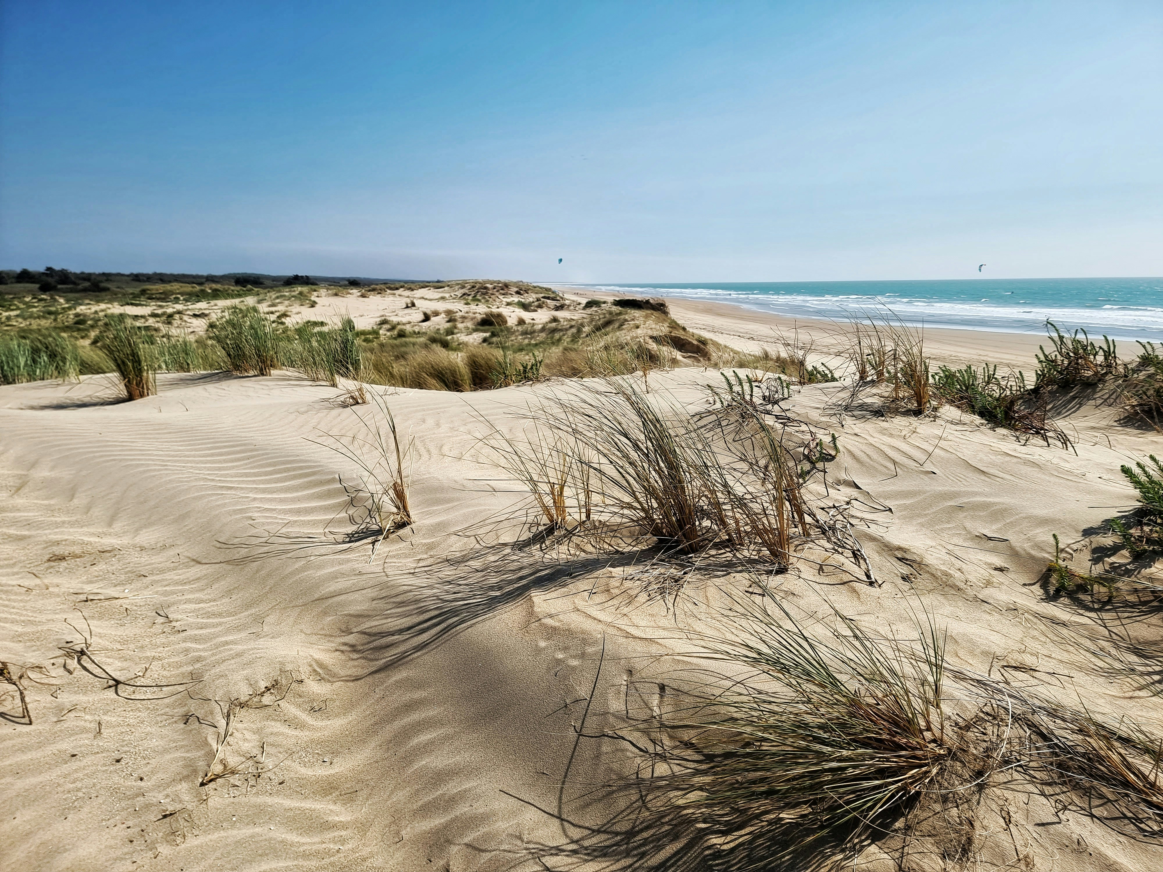 Bracelet Silicone Compatible Fitbit Luxe - Souple Réglable