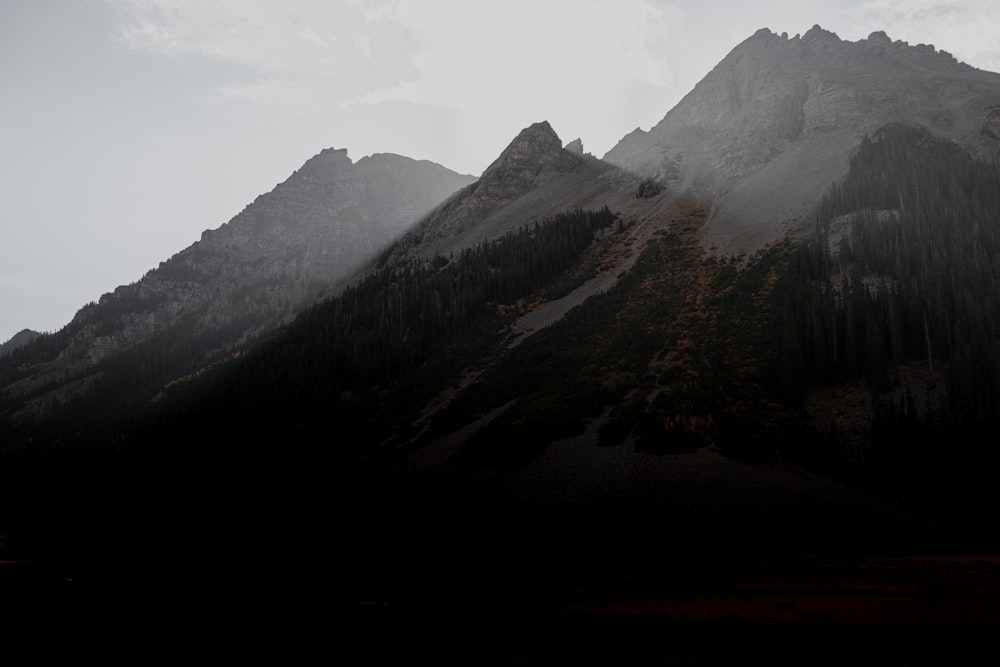 a mountain with trees and fog