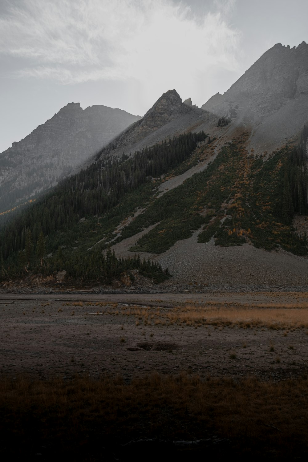 a landscape with mountains and trees