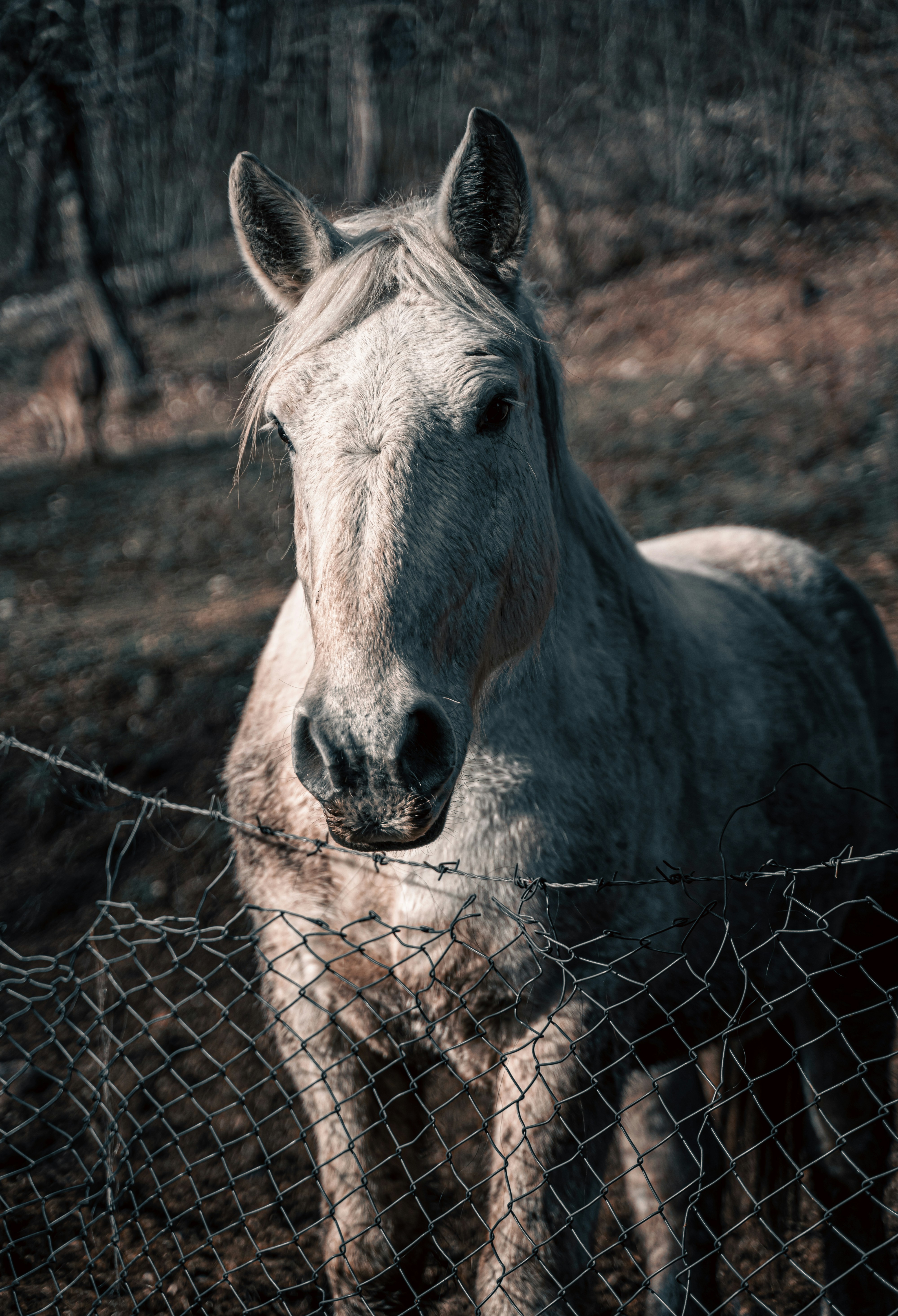 Photo by cybersenpai