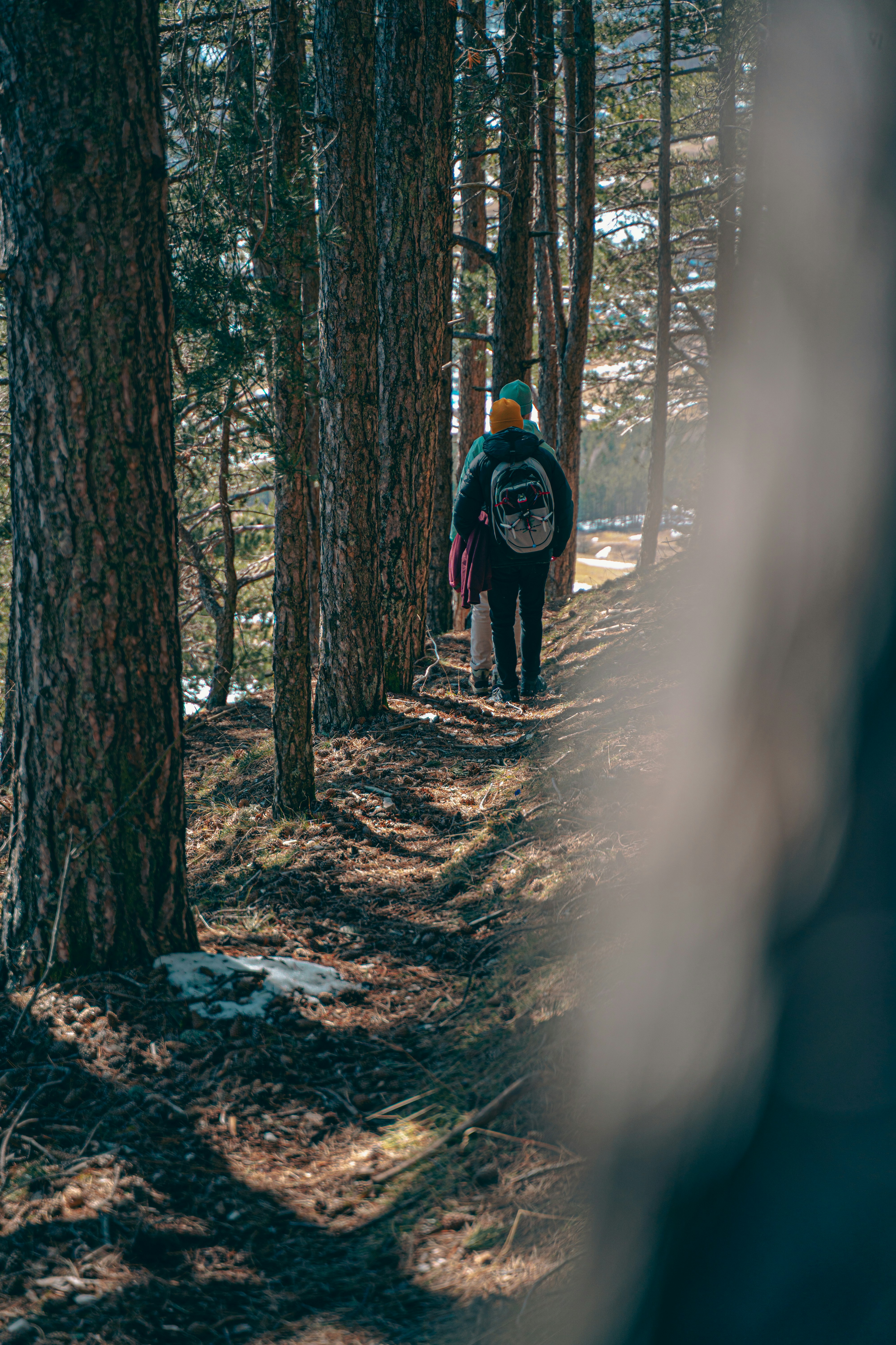 Photo by cybersenpai