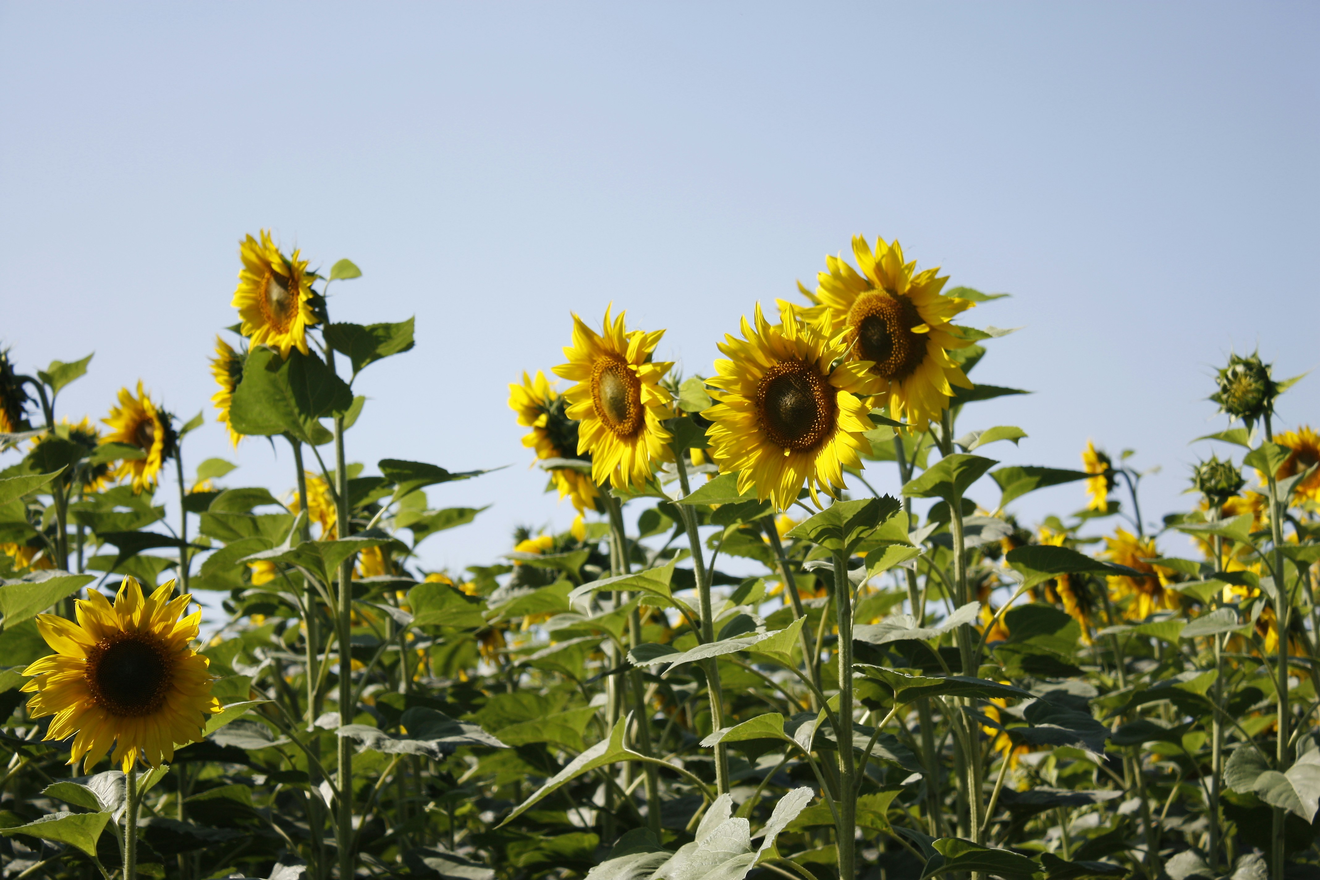 Photo by annalacroix