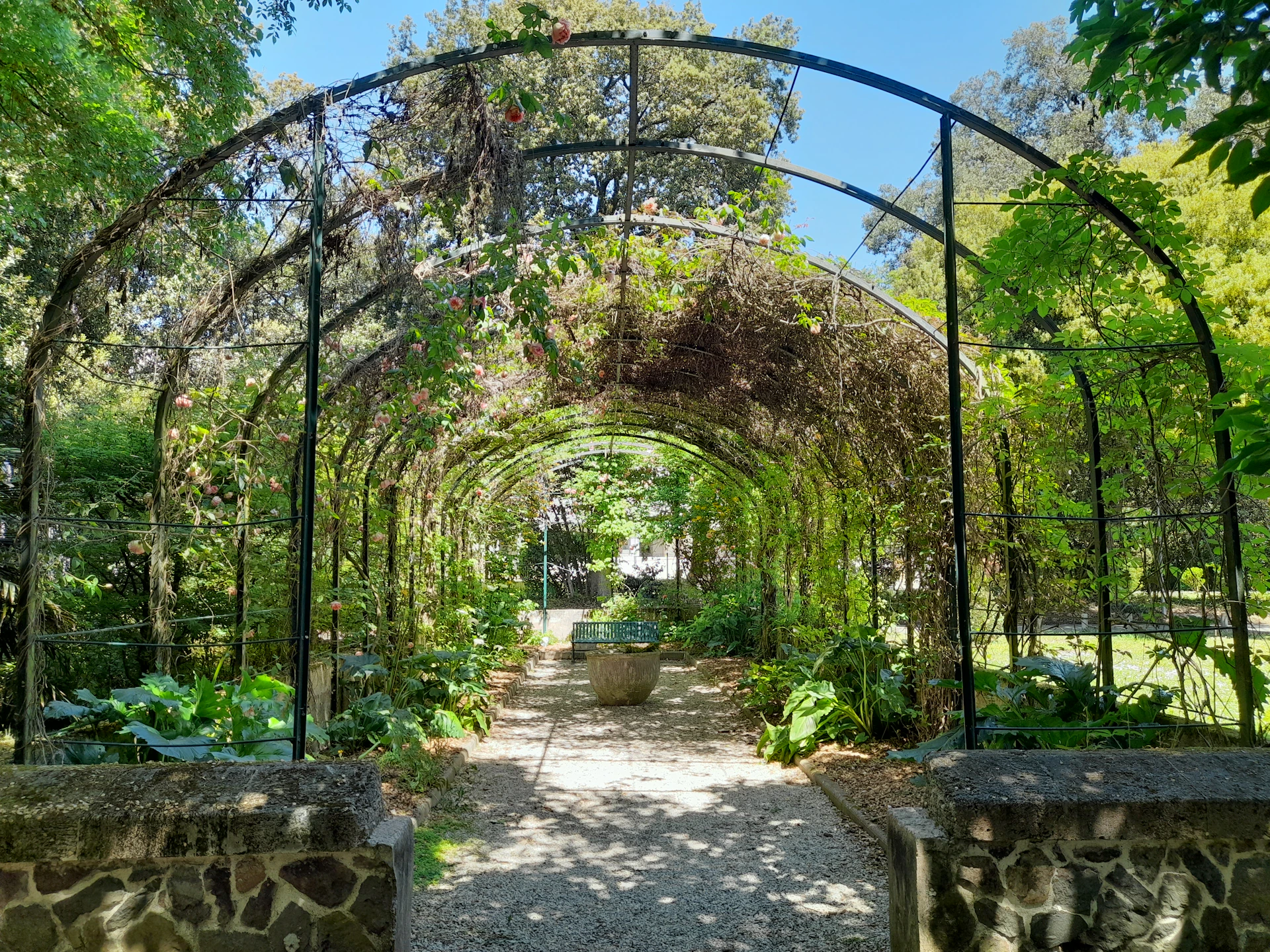 gray computer monitor