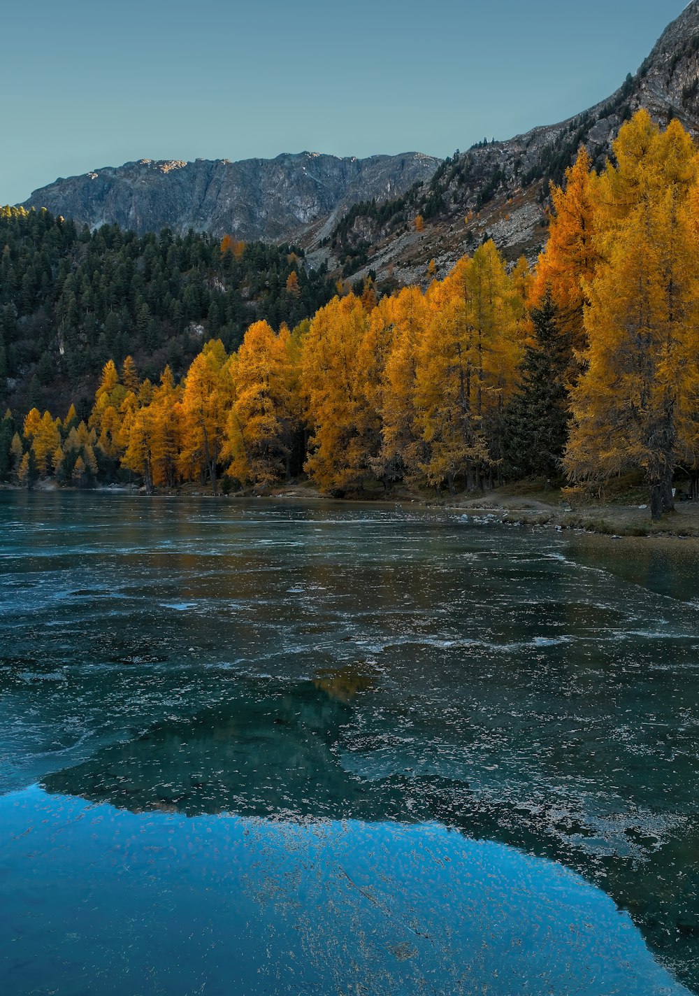 a river with trees on the side