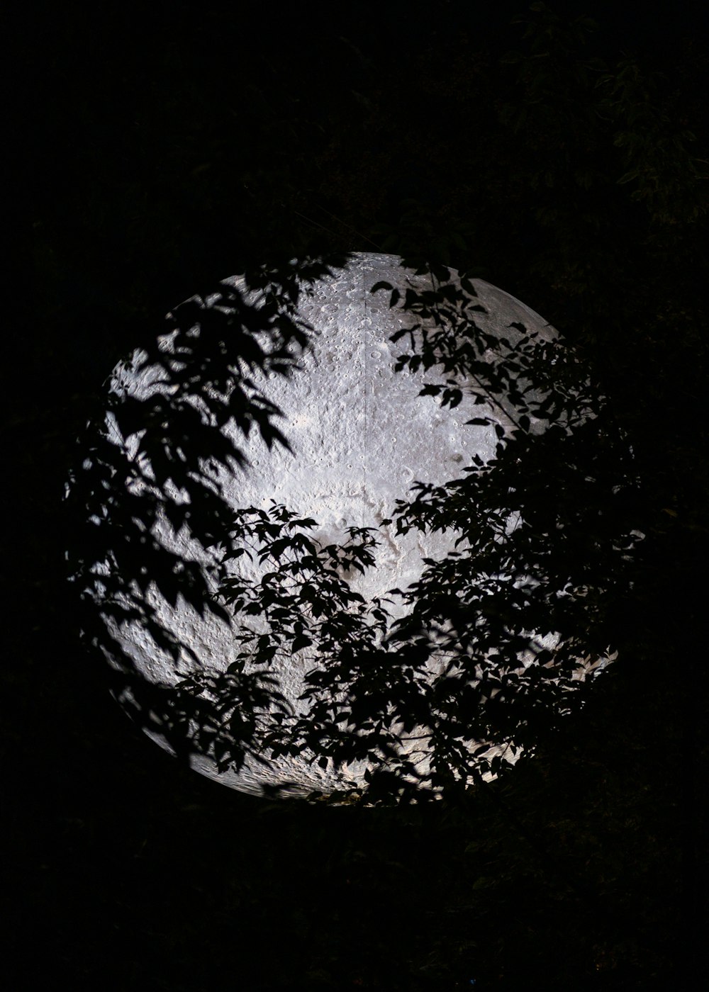 a black and white image of a rock