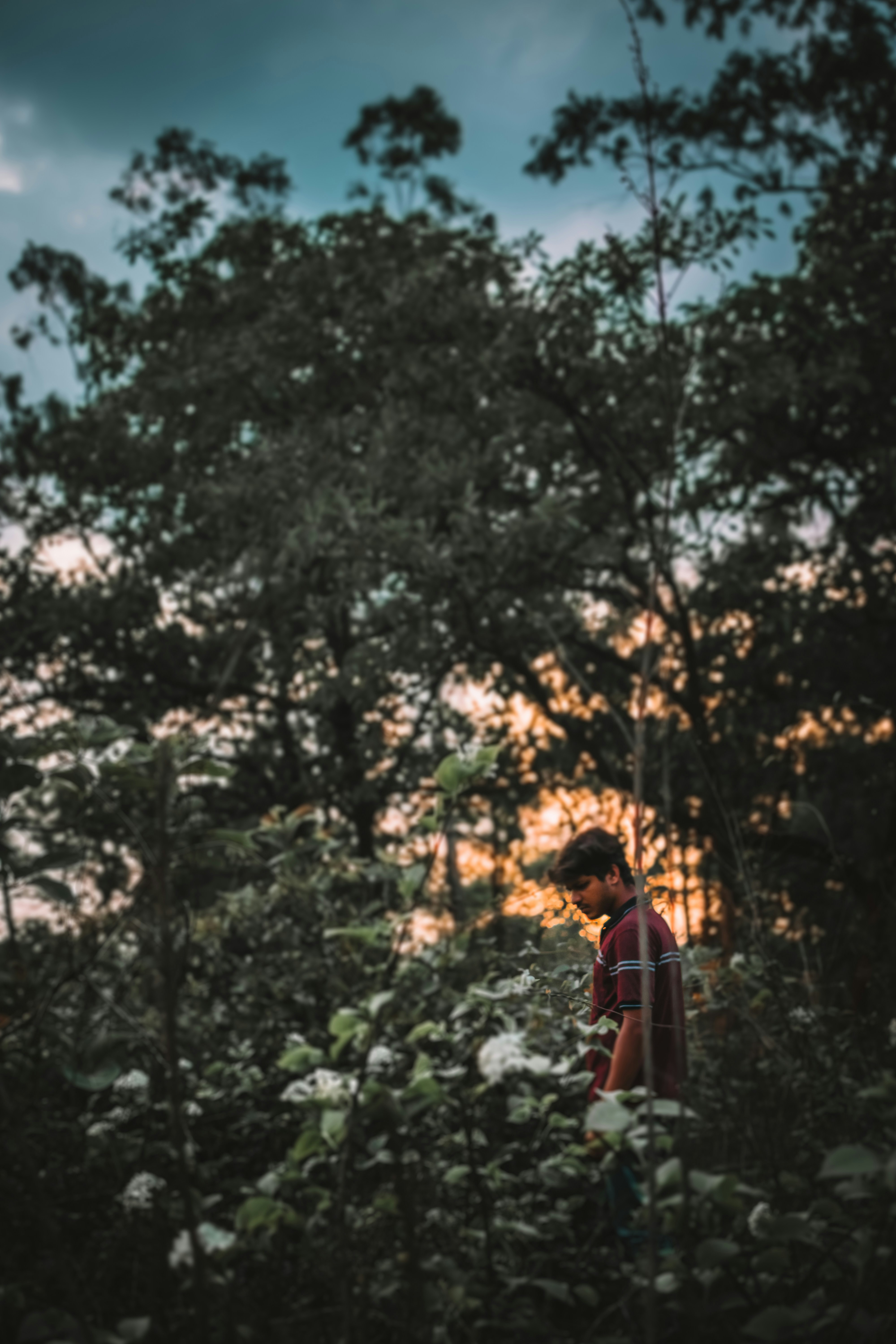 Photo by in_a_dustyblackcoat