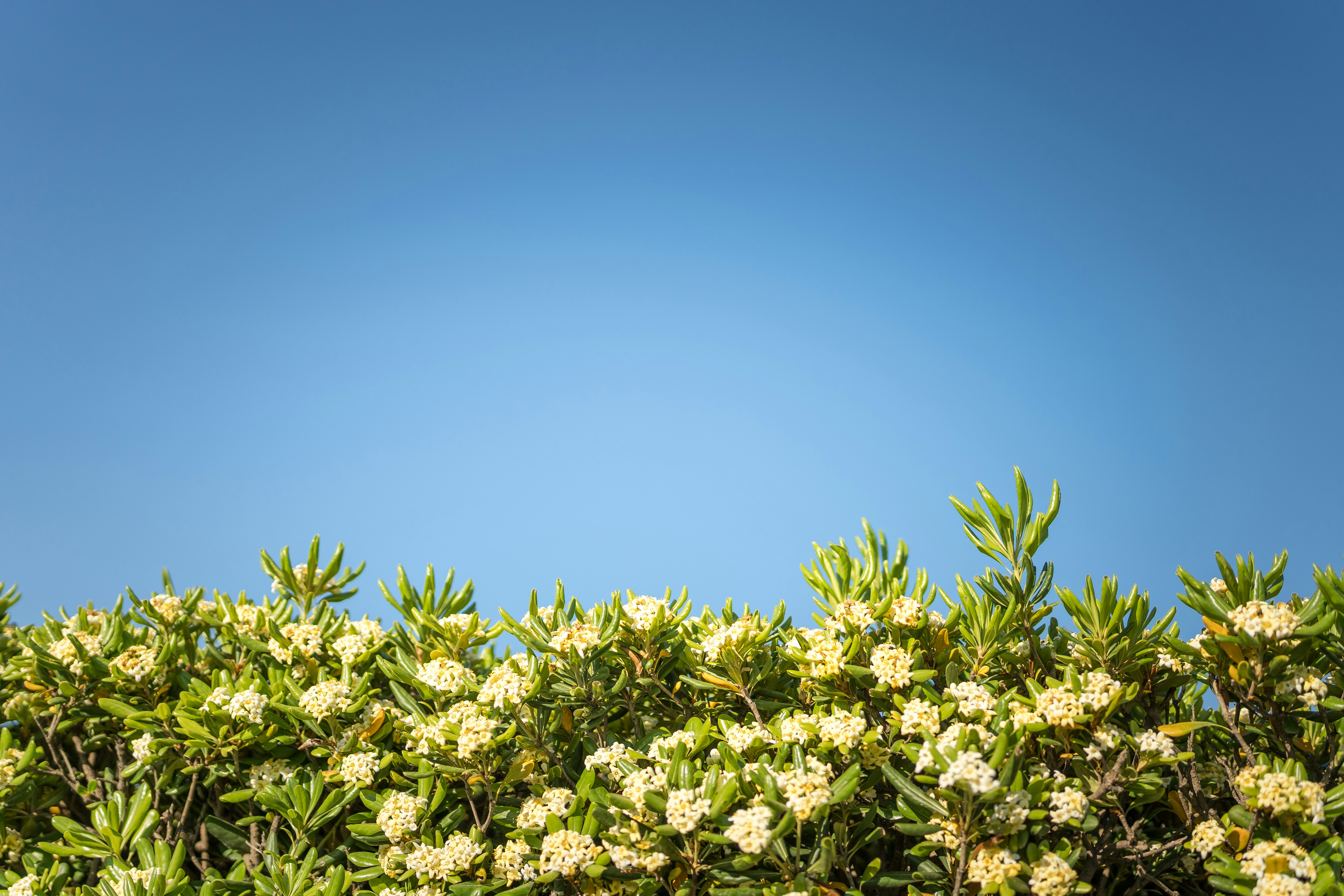 Photo by janekvaldsalu