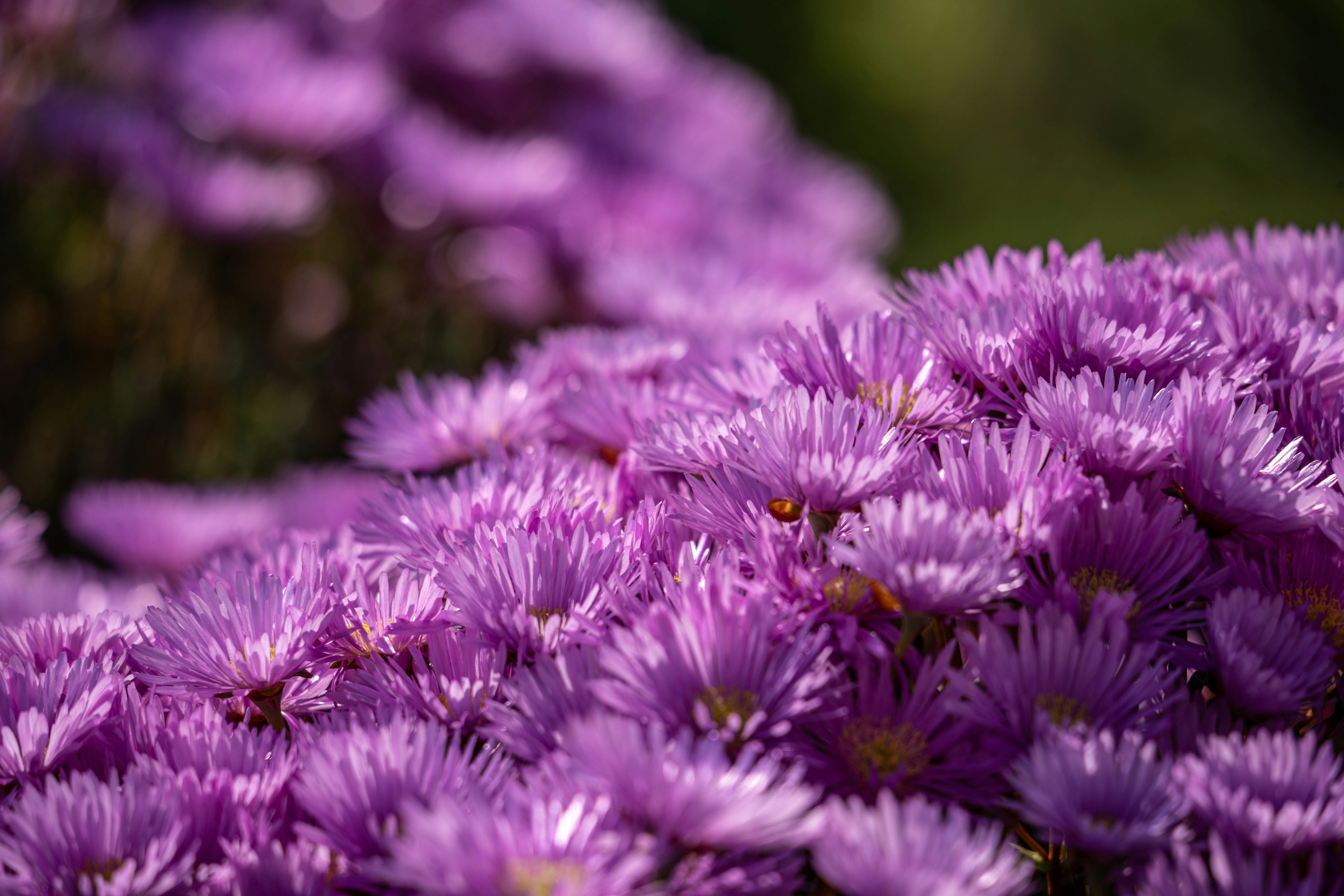 Photo by janekvaldsalu