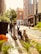 Two dogs are sitting on a cobblestone sidewalk in an urban area, surrounded by potted plants and buildings. One dog has dark fur and the other has light, scruffy fur. A person is walking in the background, and sunlight filters through the trees and buildings, creating a warm glow.