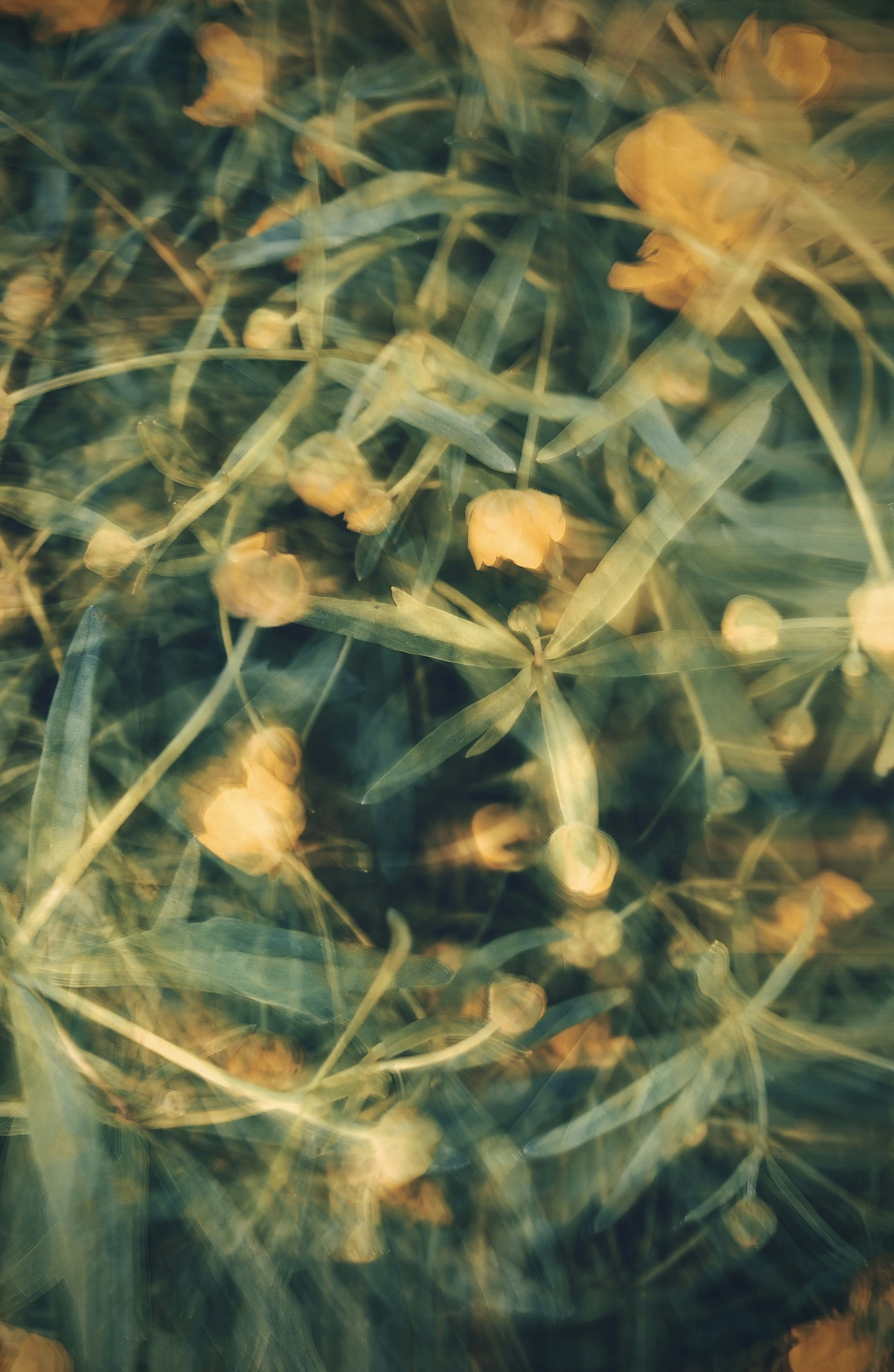 Photo by eugene_golovesov