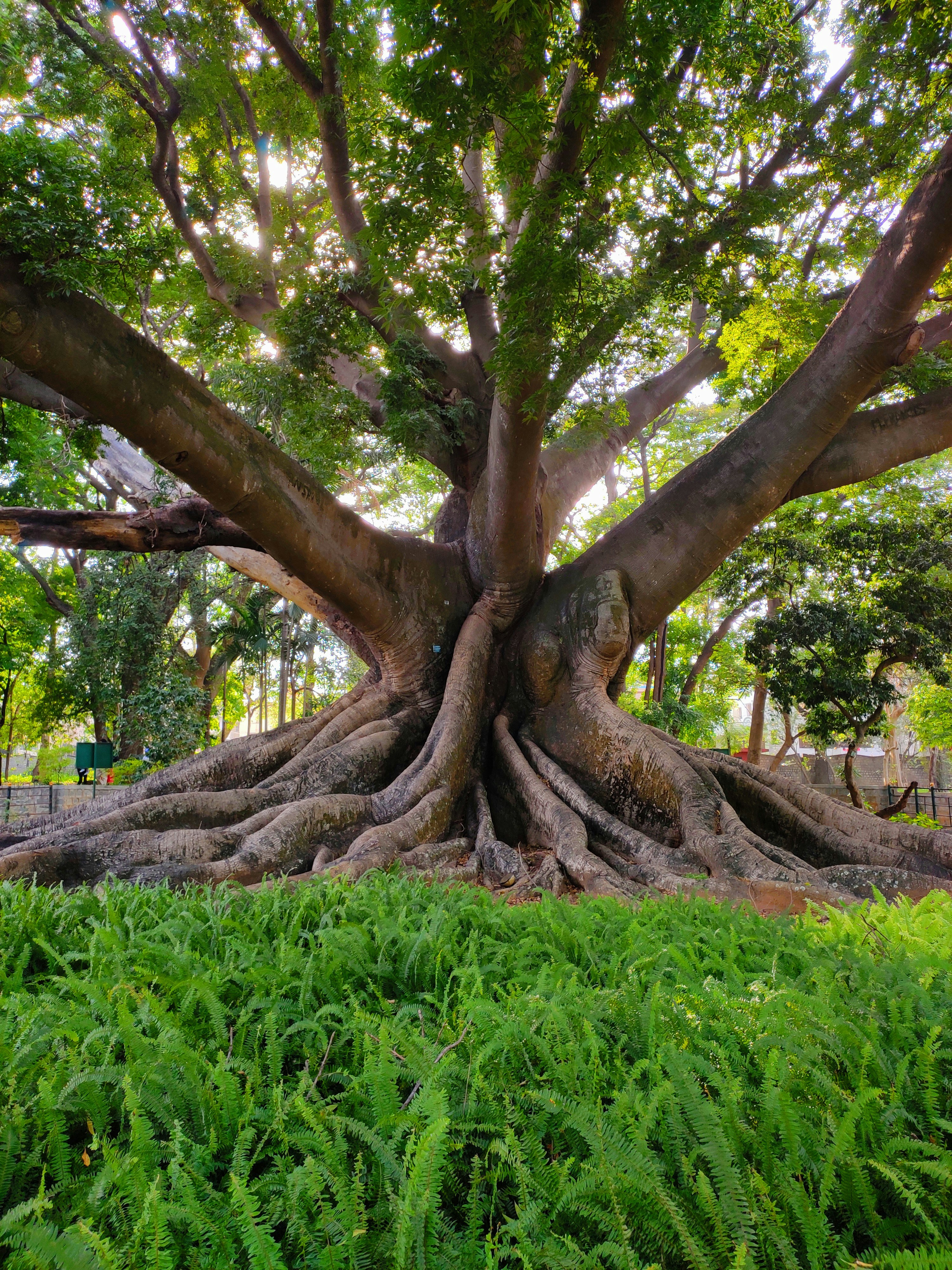 Photo by thexplorerpro