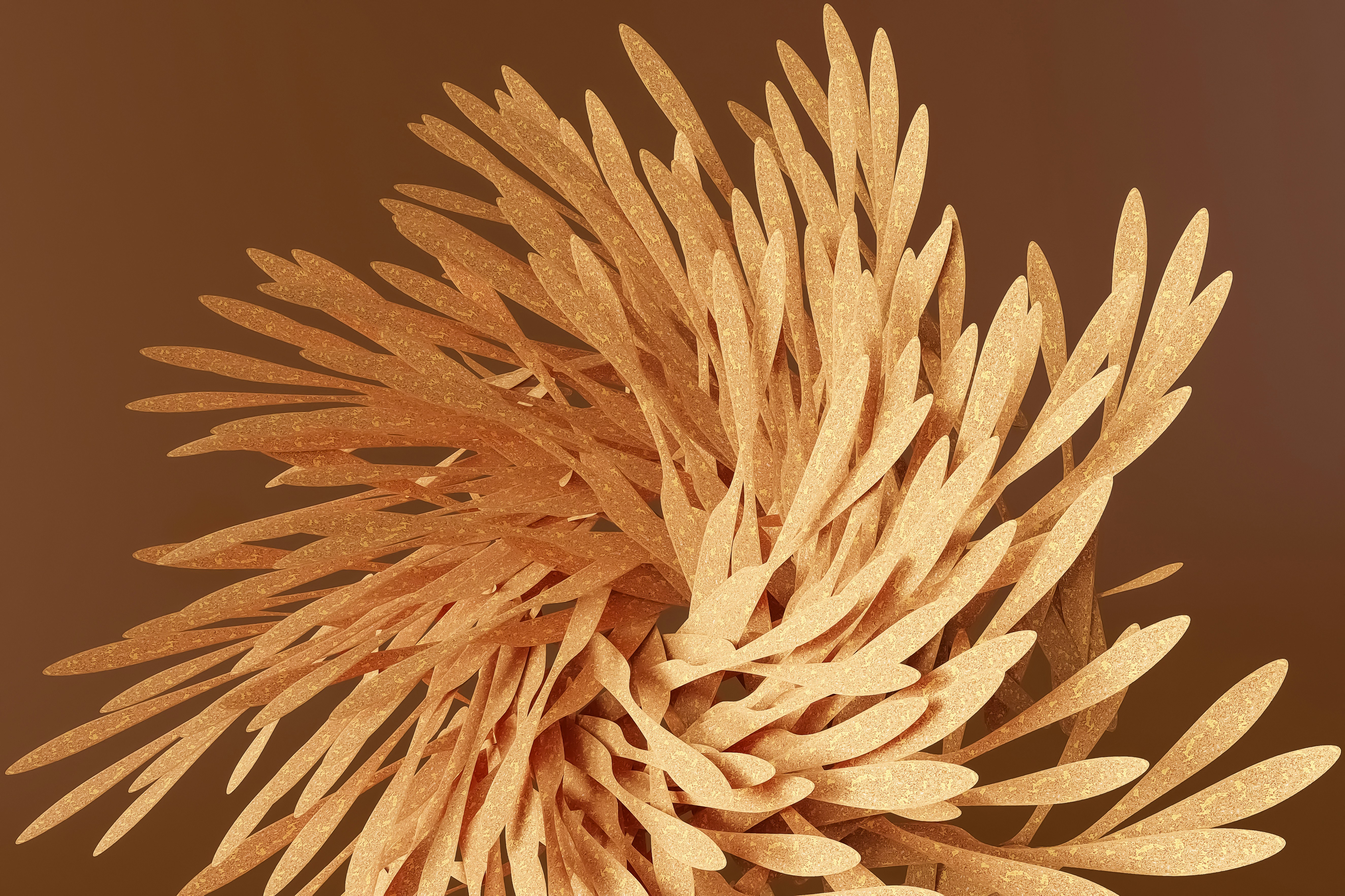 Photo by dynamicwang