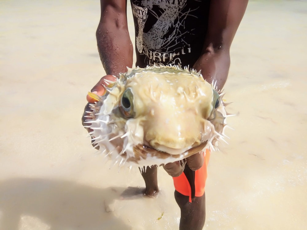 a person holding a fish