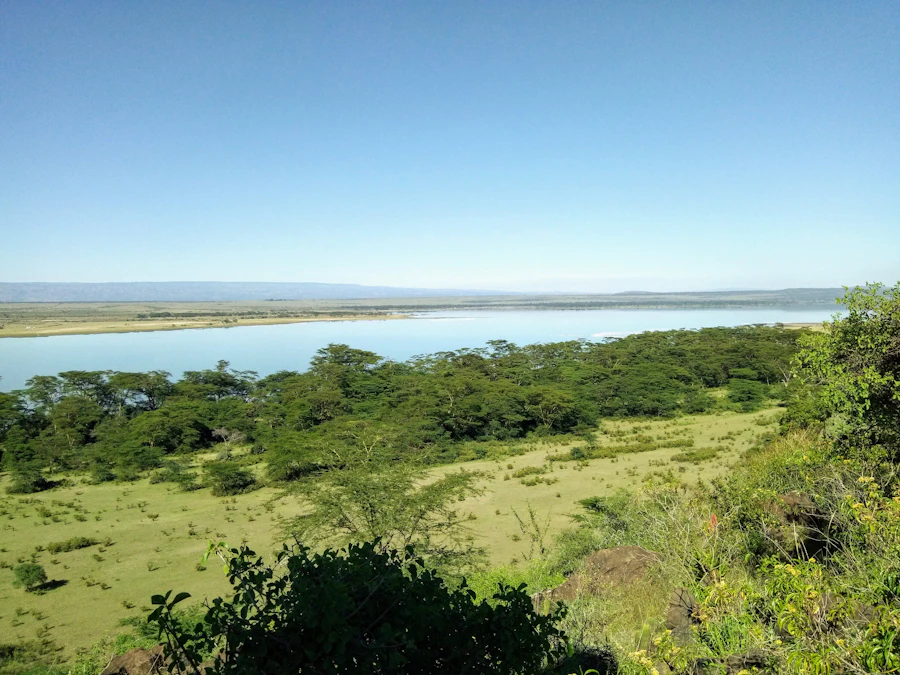 Maziwa ya Hasara: Kenya Yaanzisha Tathmini ya Kitaalamu Kuhusu Mafuriko ya Baringo na Bogoria