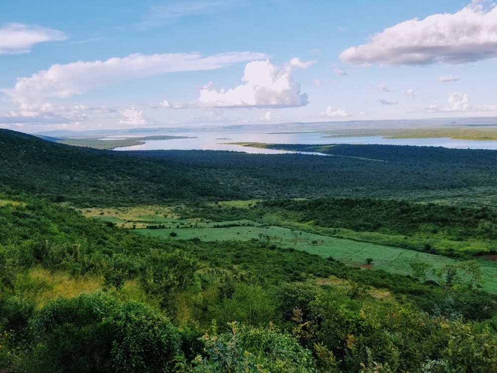 a landscape with trees and water in the background