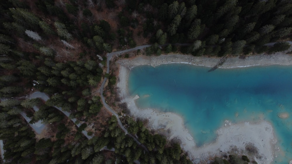 a body of water surrounded by trees