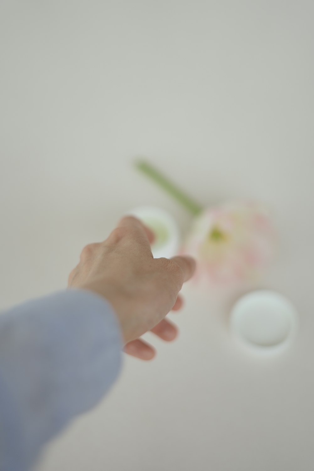 a person holding a green plant