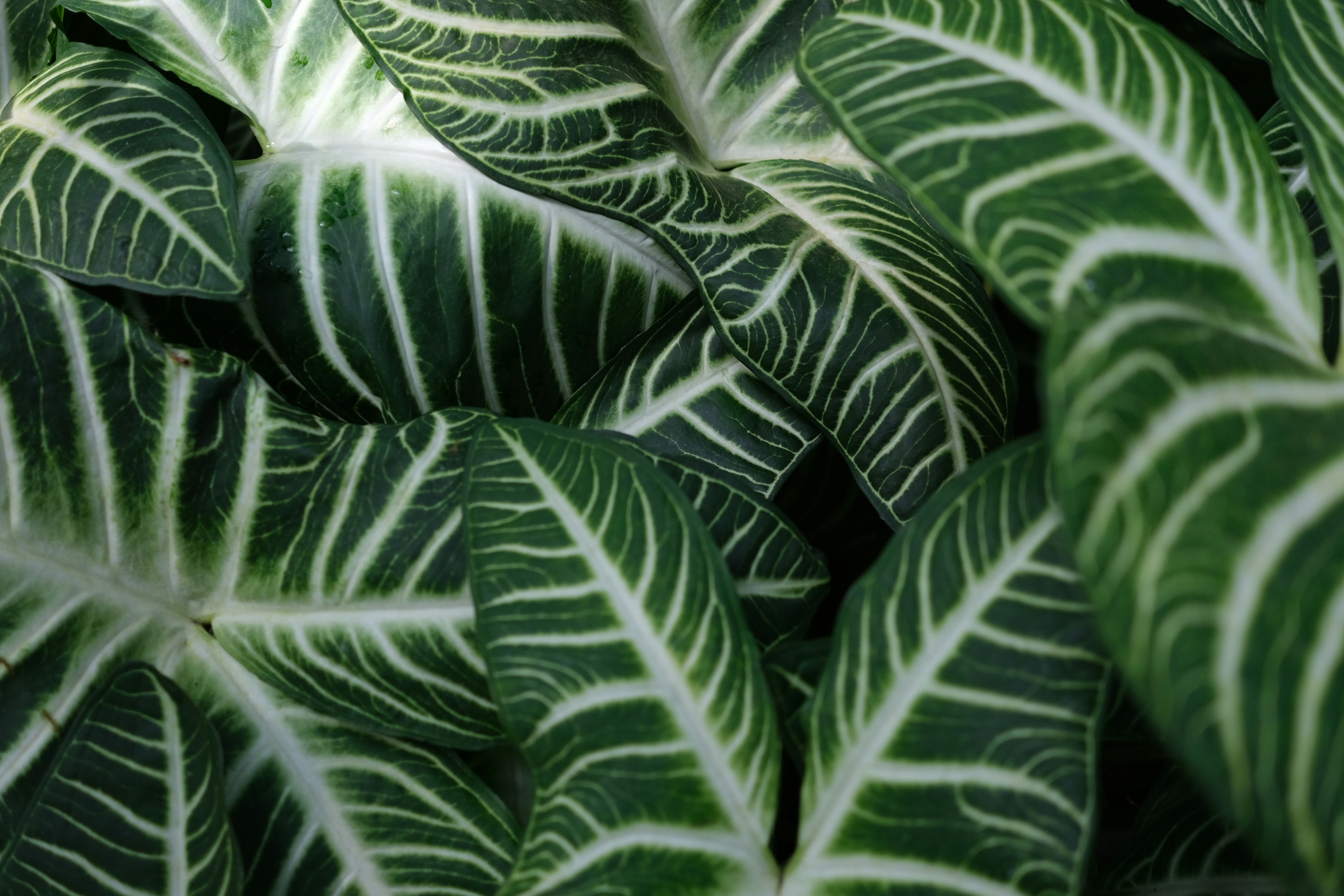 Photo by kikis_lense