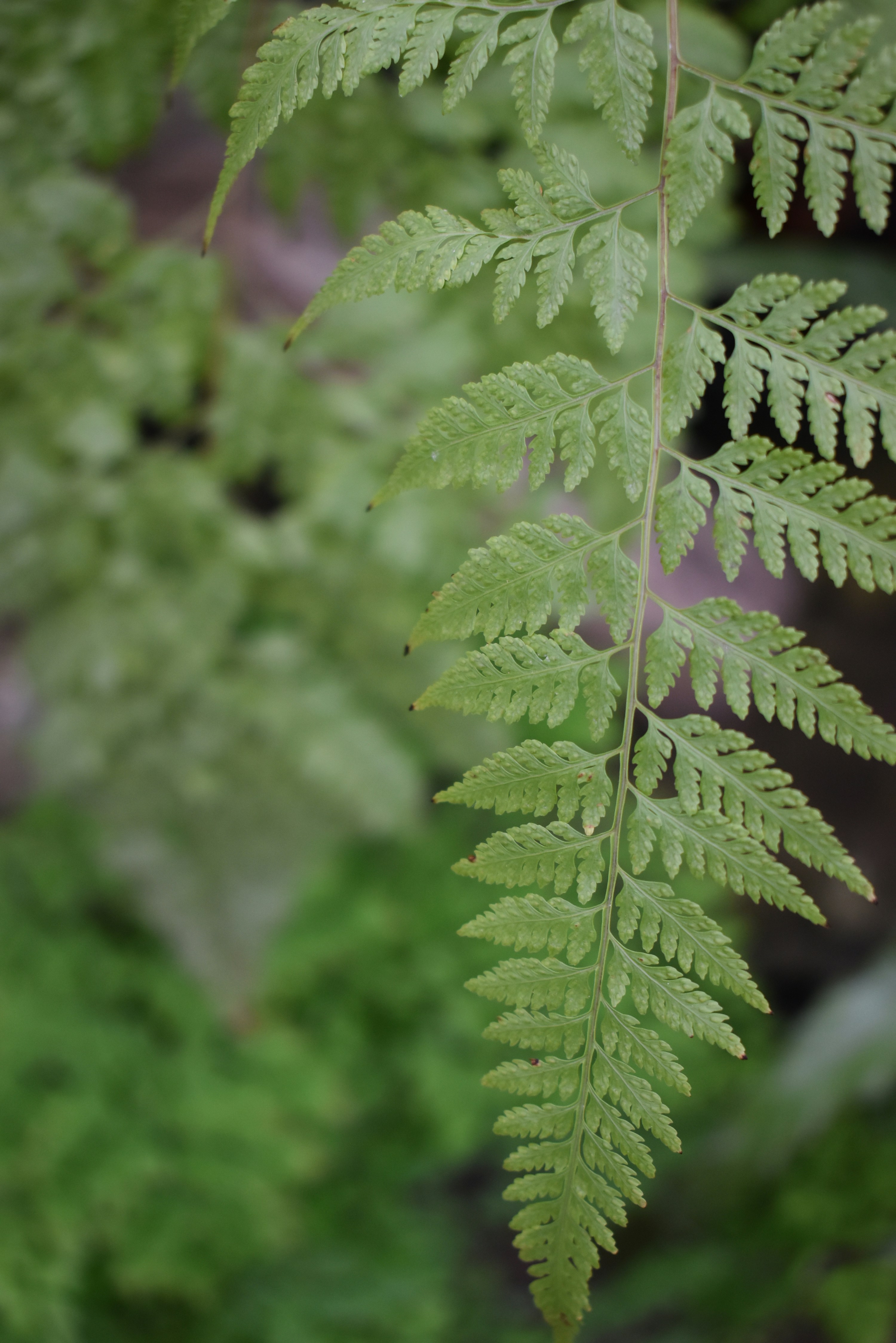 Photo by stado_bobrov