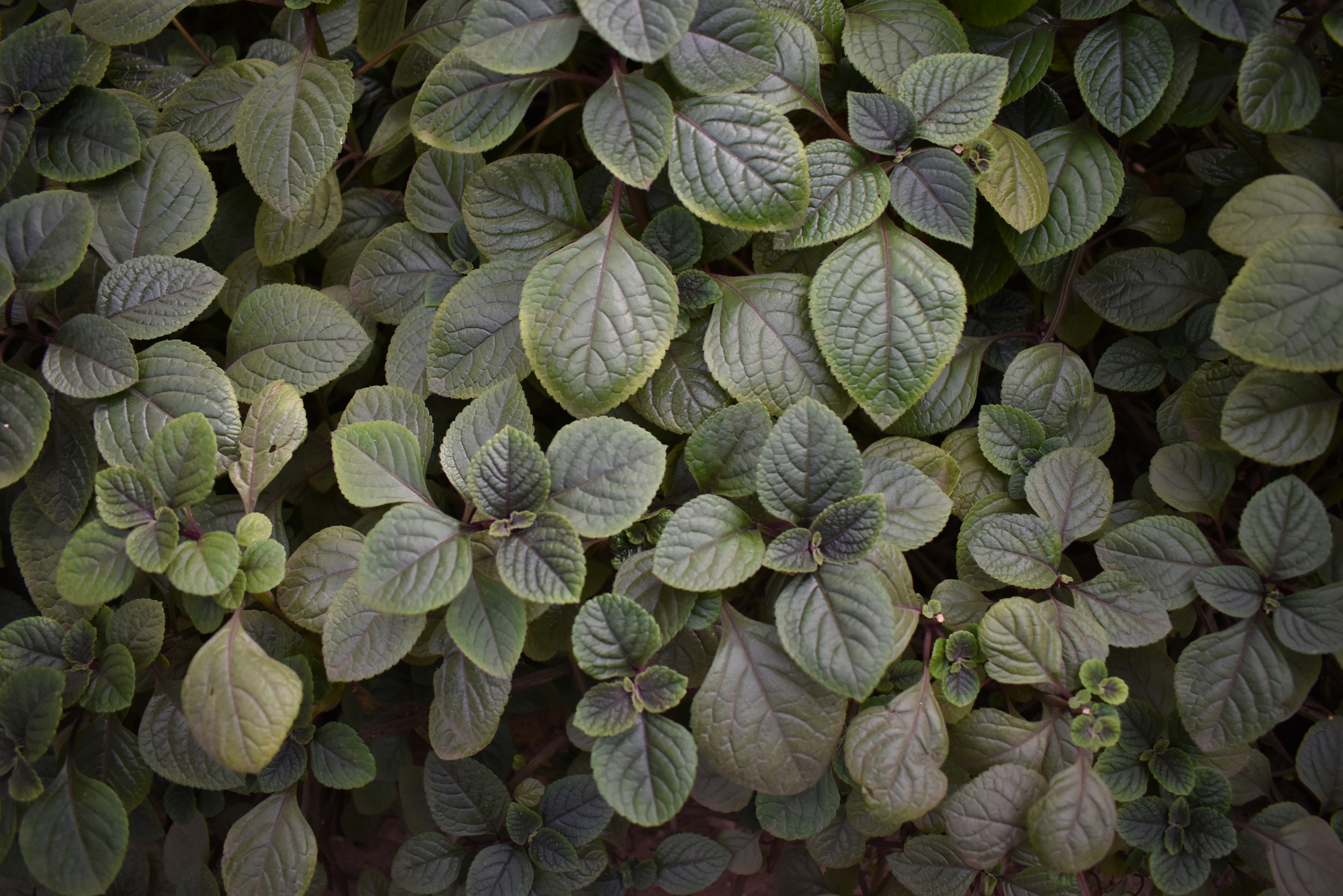 Photo by stado_bobrov