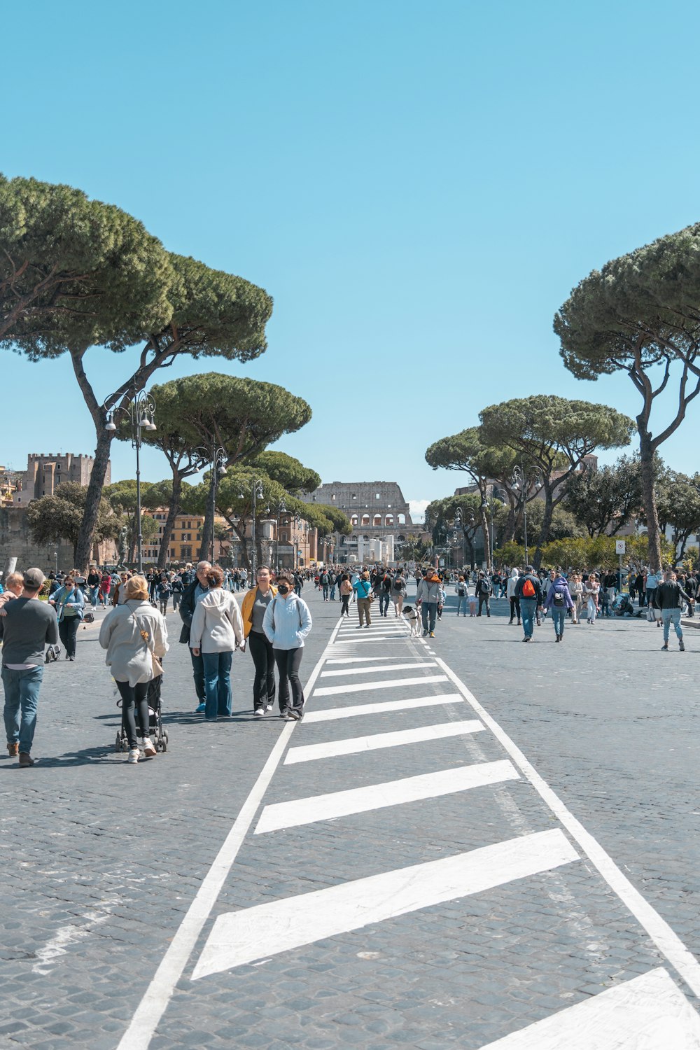 a group of people walking on a street with trees and buildings in the background