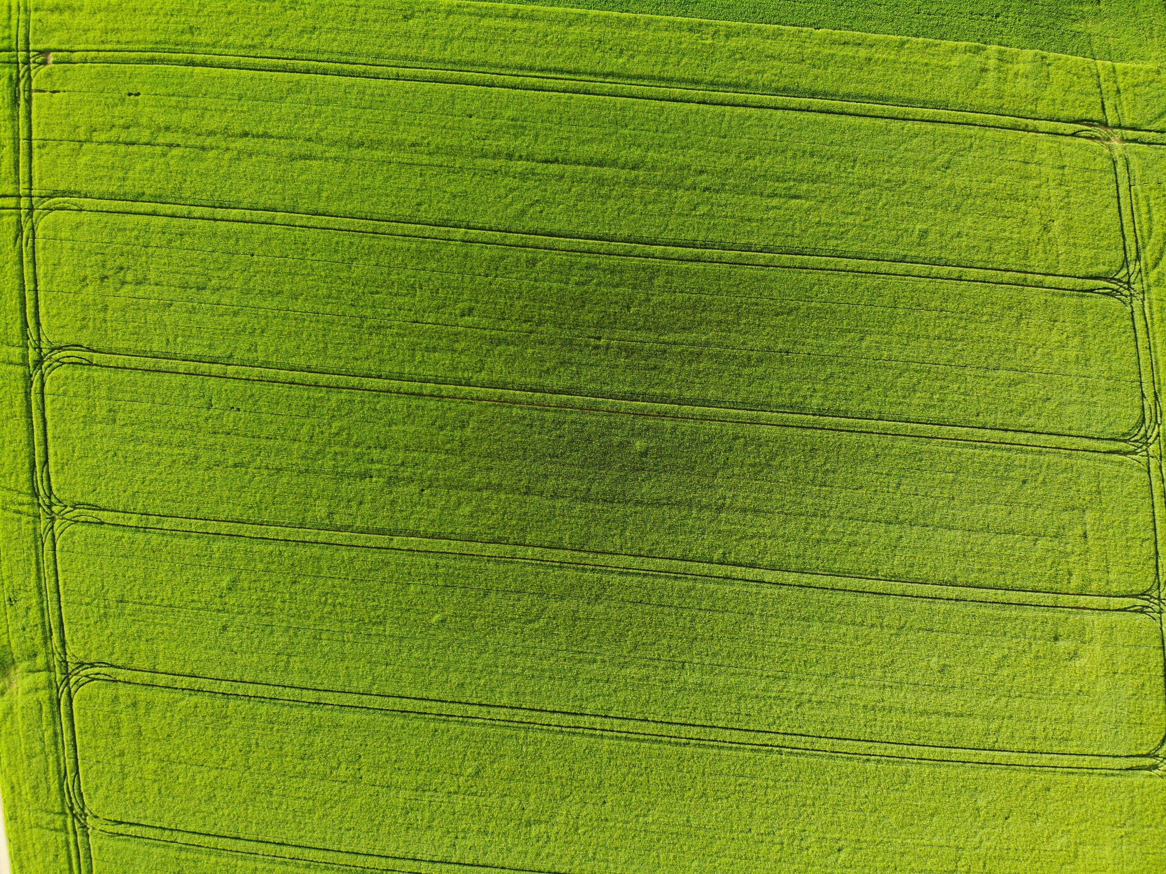 What Is The Role Of Energy Storage Technologies In Enhancing The Reliability Of Green Energy Systems?