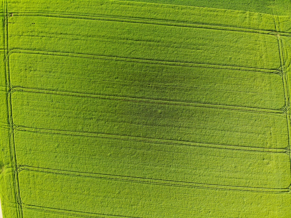 a green and white striped surface