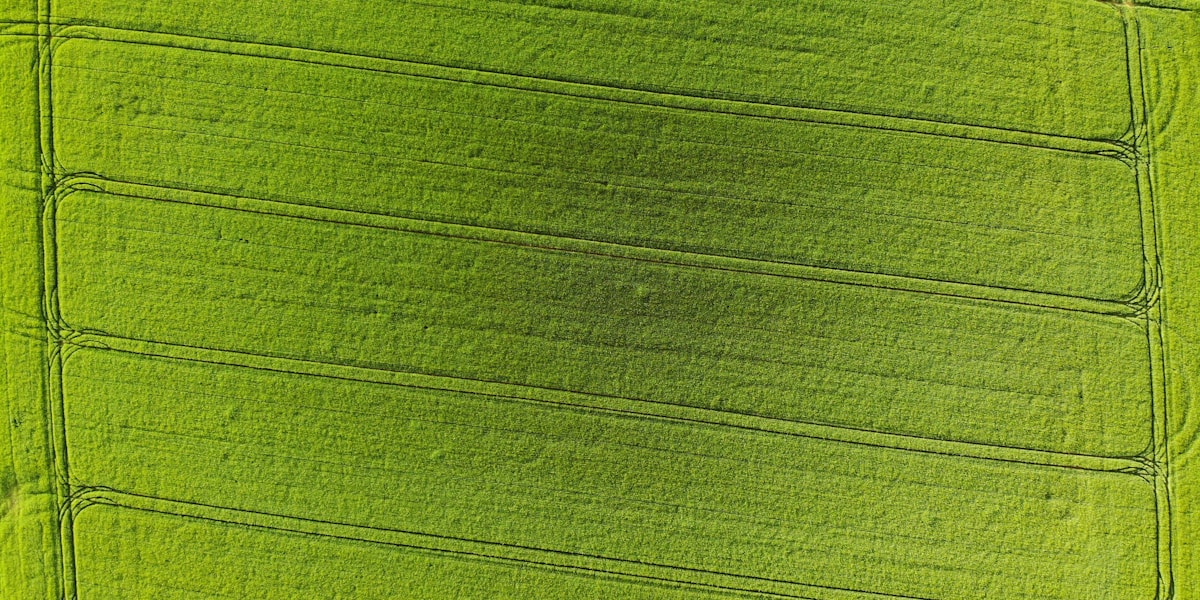 a green and black striped surface