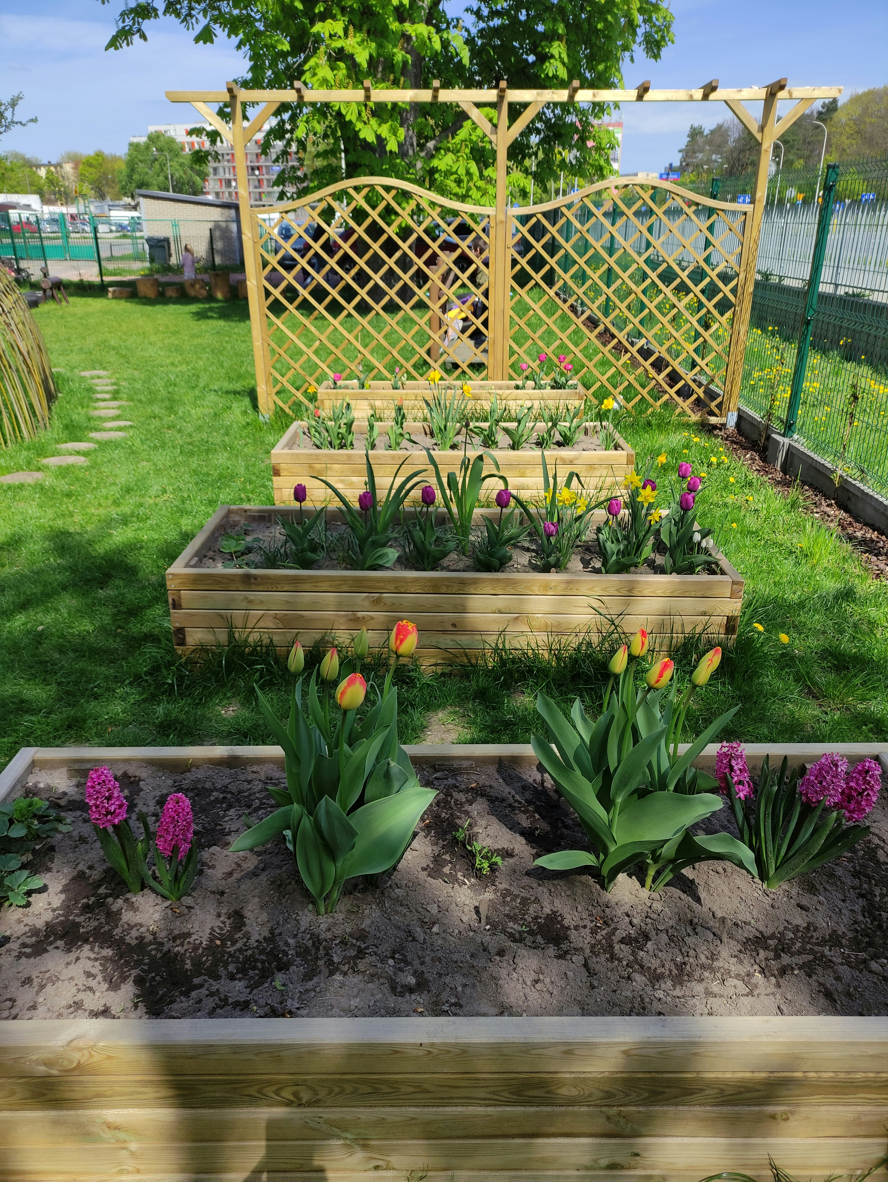Raised bed vegetable gardening - a thriving garden full of vibrant plants and vegetables