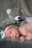 A newborn baby lies on a soft, grey surface with a large grey teddy bear positioned behind. The baby wears a white headband with a bow, displaying an alert and curious expression.