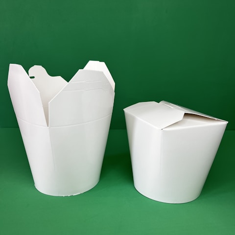 Two white takeout boxes are placed against a plain green background. One box is open with the top flaps extended outward, and the other box is closed with its flaps neatly folded.