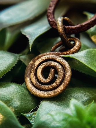 amulet on purslane plant 