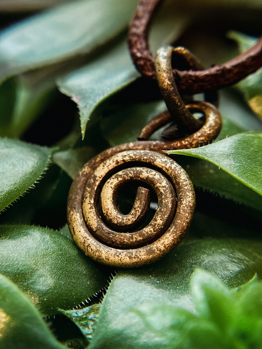 나뭇잎에 달팽이