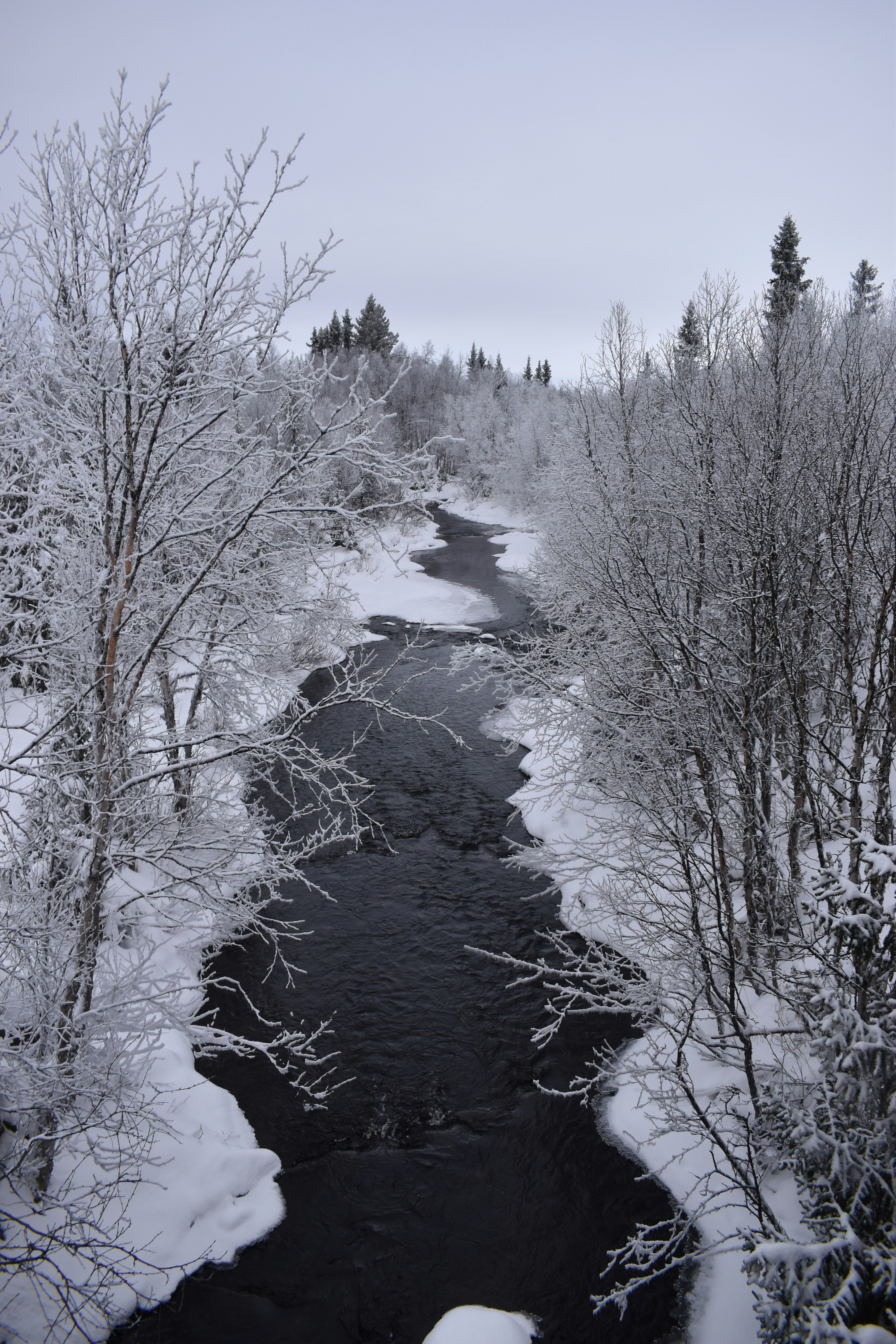 Photo by jackwhite2803