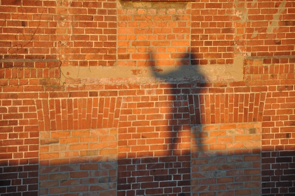 a shadow of a person on a brick wall