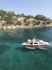 A boat cruising near dolphins jumping in clear blue waters under a sunny sky.