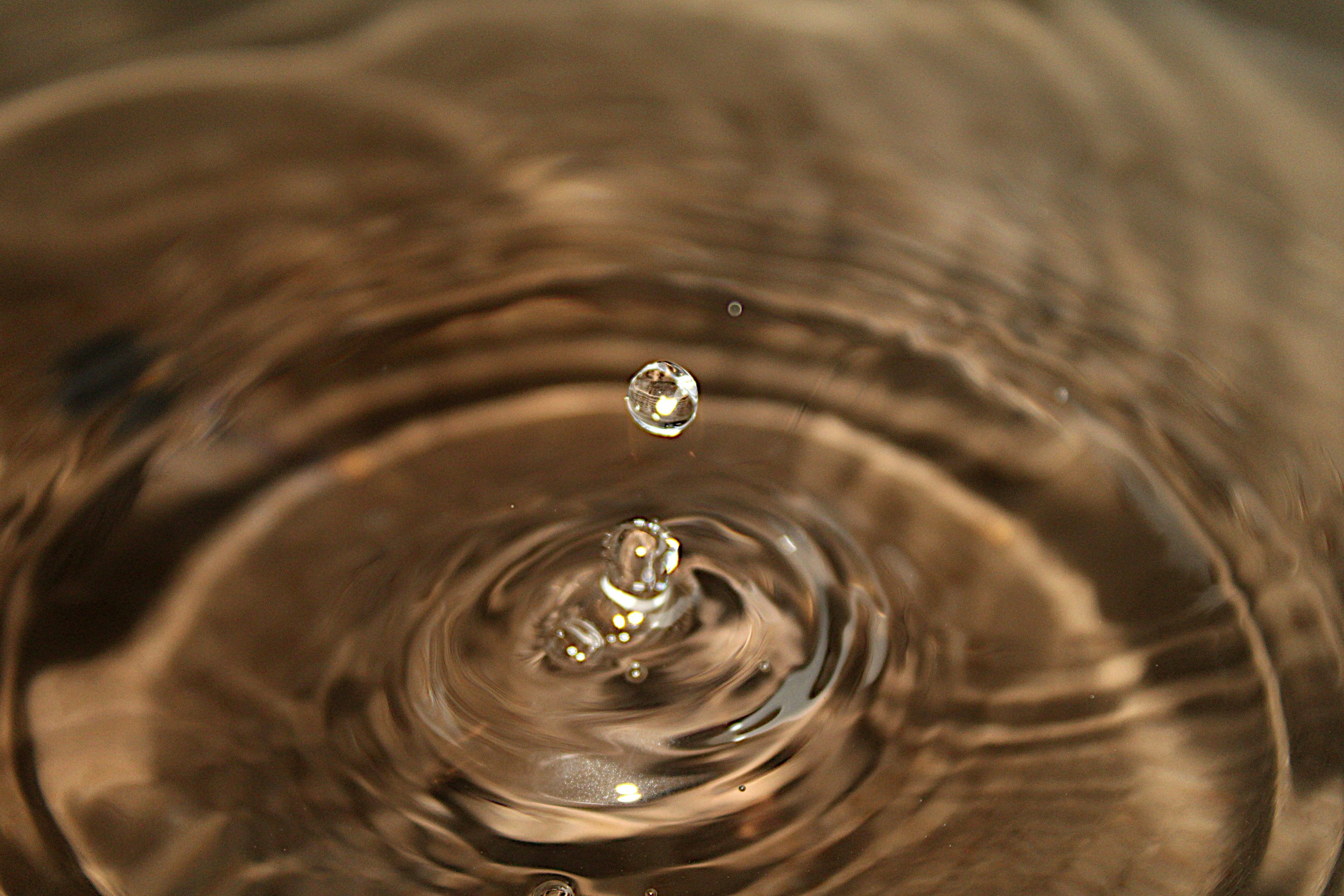 Photo by isaacstevenlind