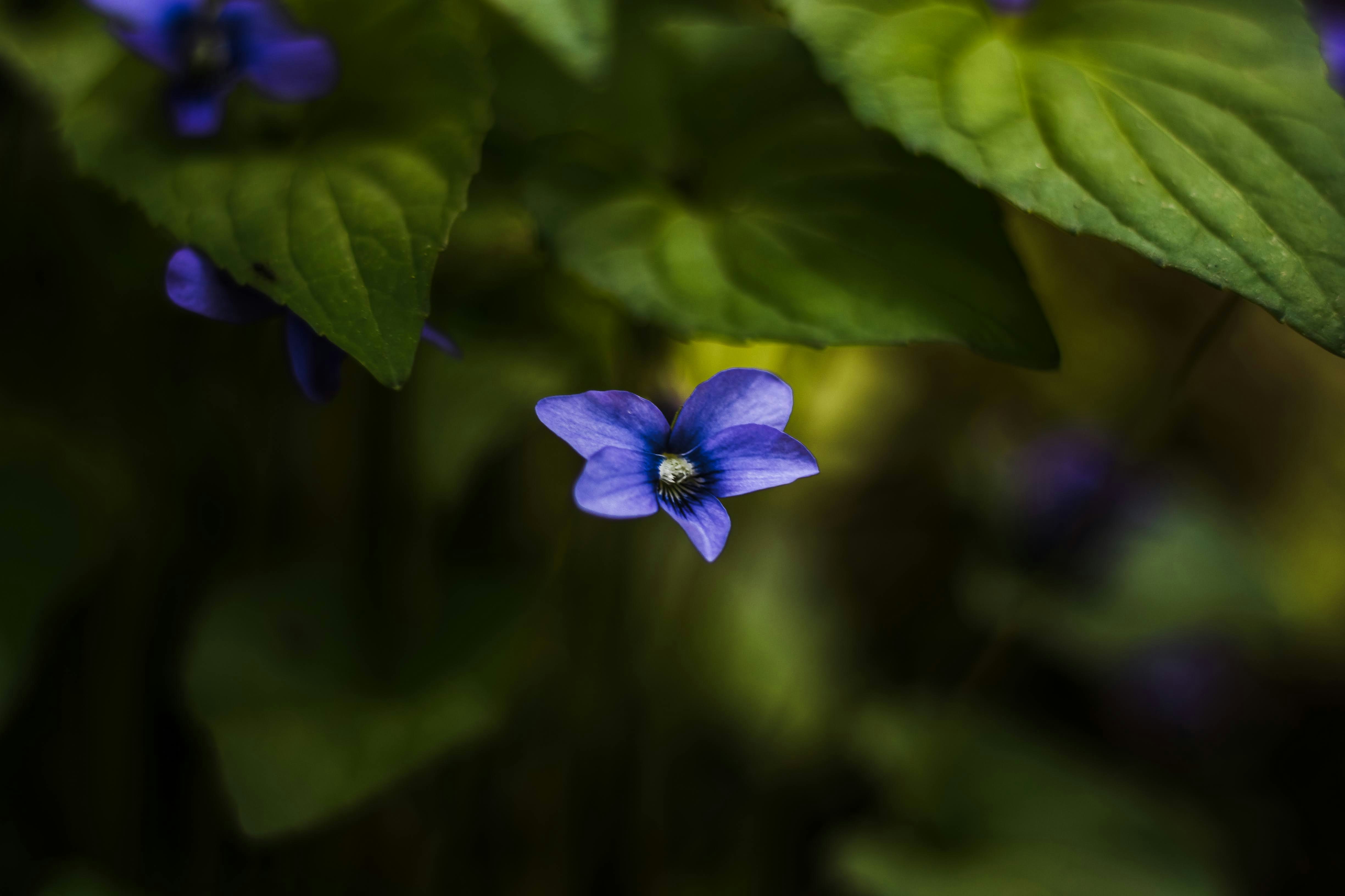 Photo by brice_cooper18