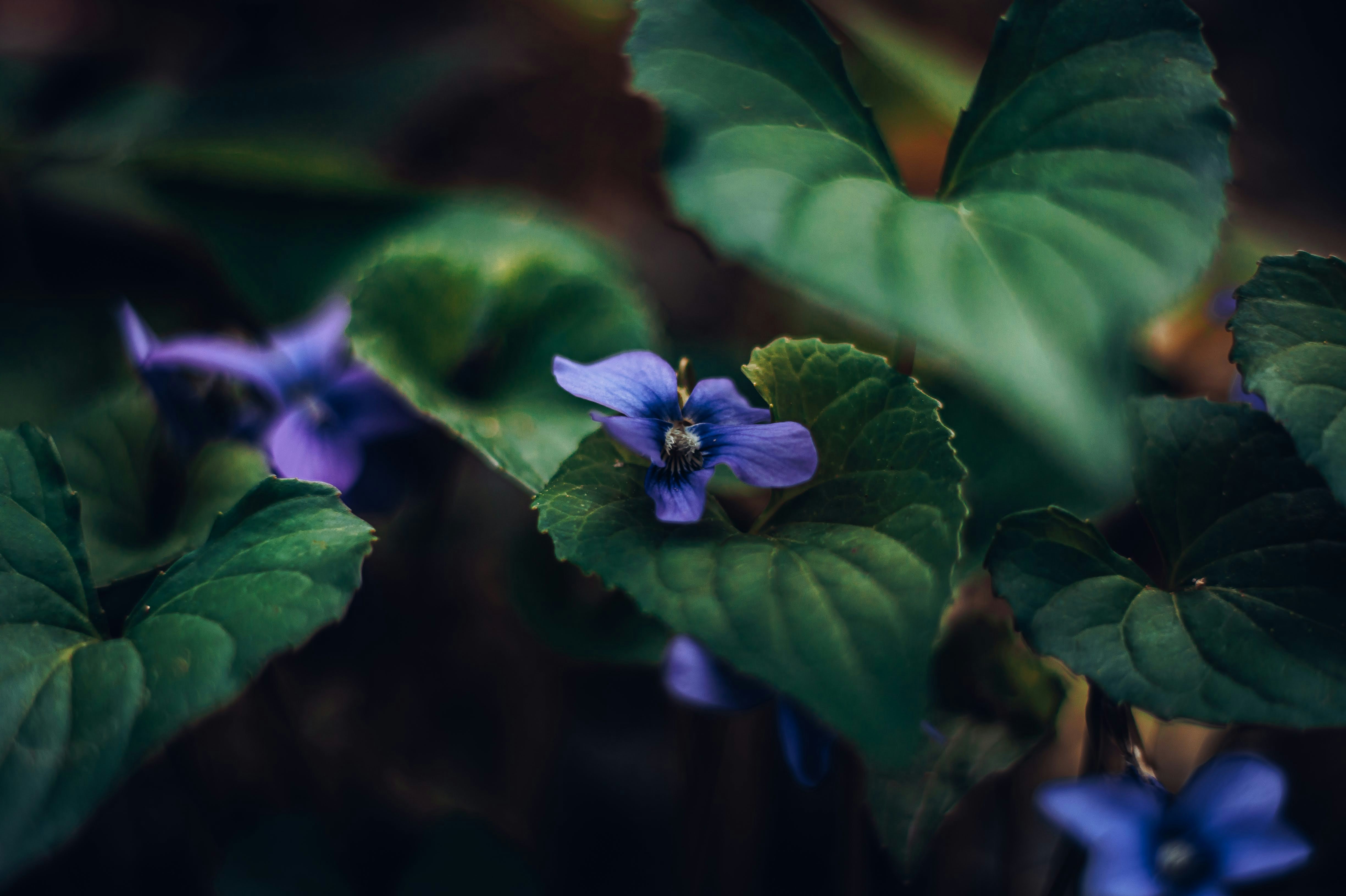 Photo by brice_cooper18