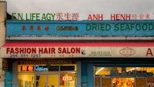 A storefront with multiple businesses, including a fashion hair salon, an insurance agency, and a shop selling ginseng and dried seafood. The facade is colorful with signs in both English and another language. Neon lights and an open sign are visible in the salon window.