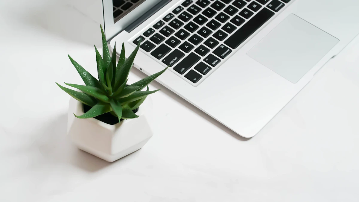 A laptop beside a small green aloe on a bright desk