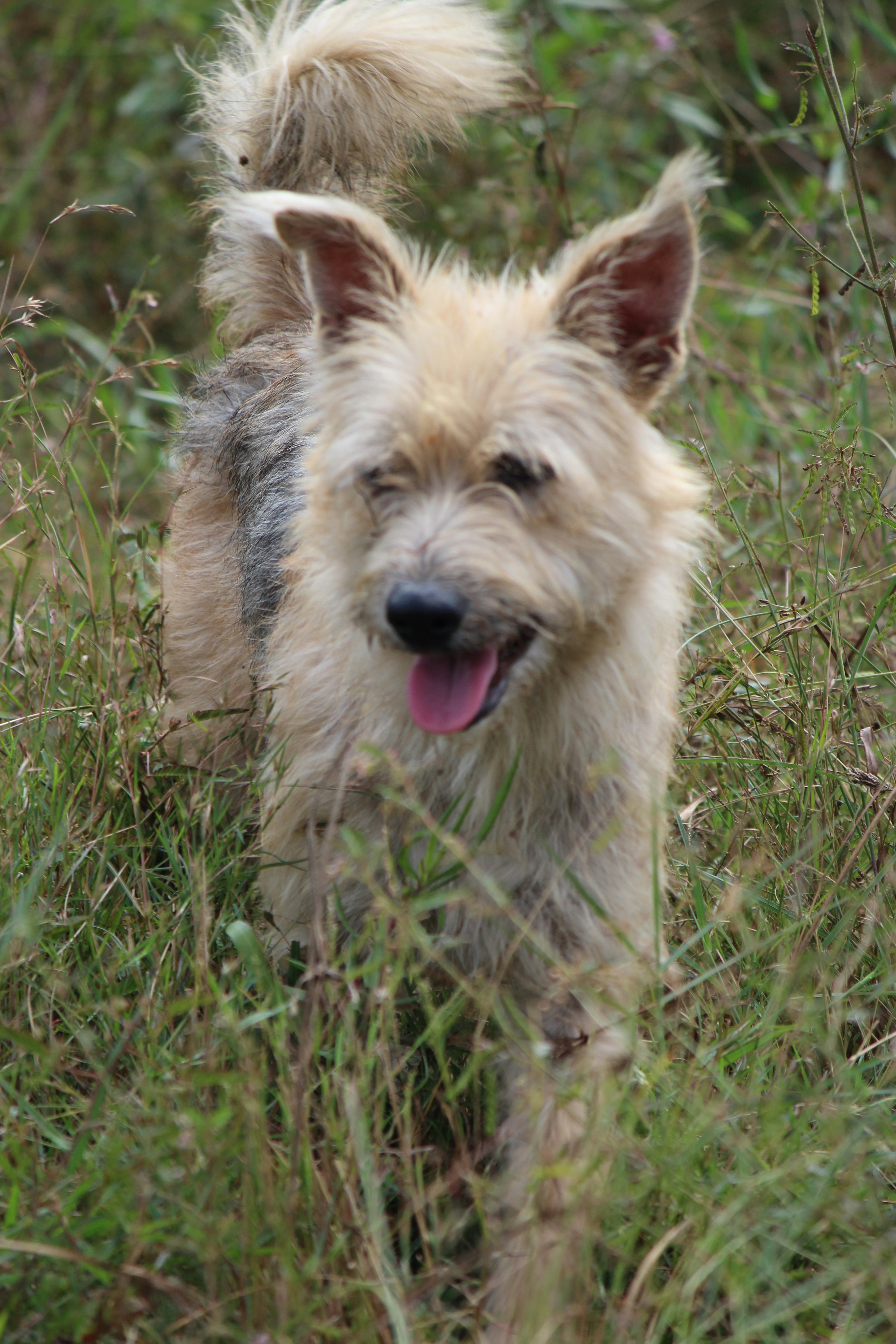 Photo by shruti_parthasarathy