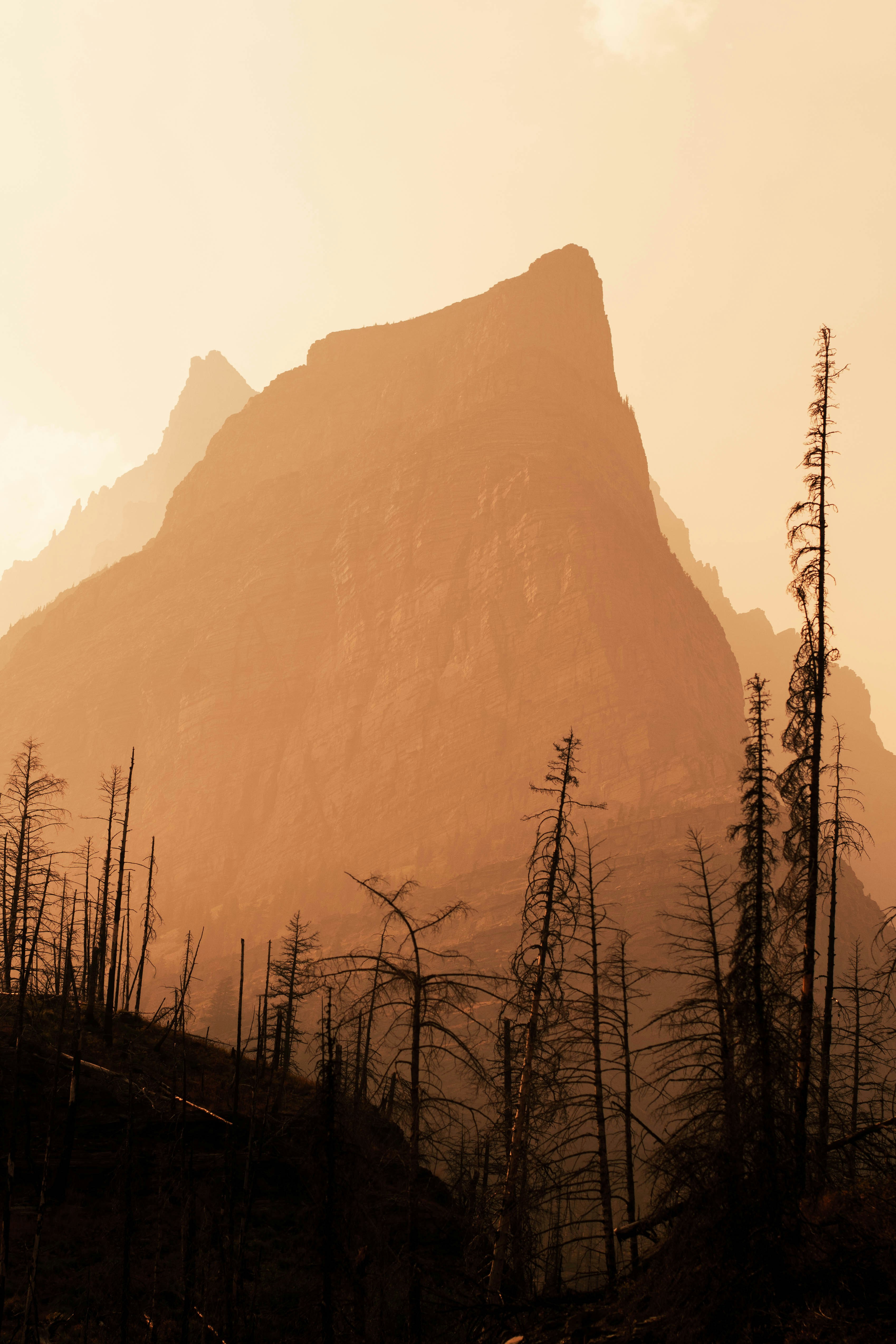 A mountain with trees in front of it photo – Free Nature Image on Unsplash
