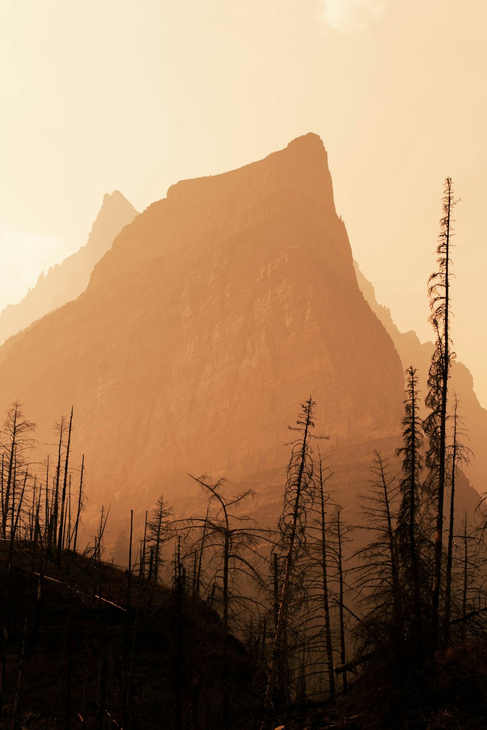 a mountain with trees in front of it