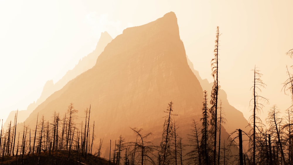 a mountain with trees in front of it